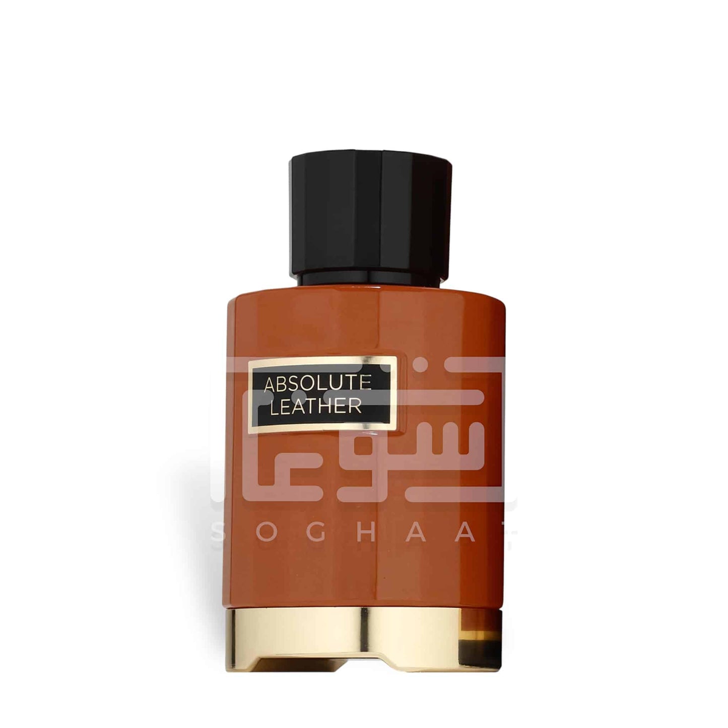 Absolute Leather 100ml Eau de Parfum by Fragrance World fragrance packaging front view