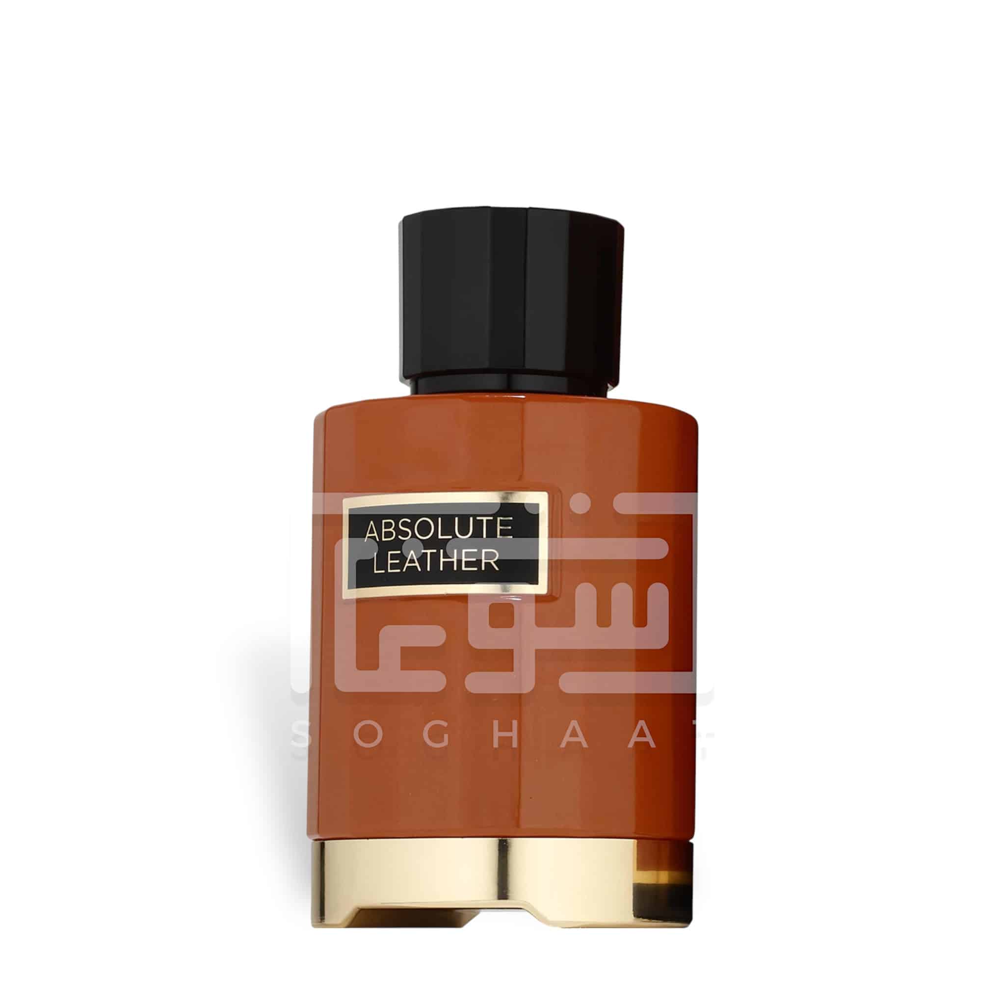 Absolute Leather 100ml Eau de Parfum by Fragrance World fragrance packaging front view
