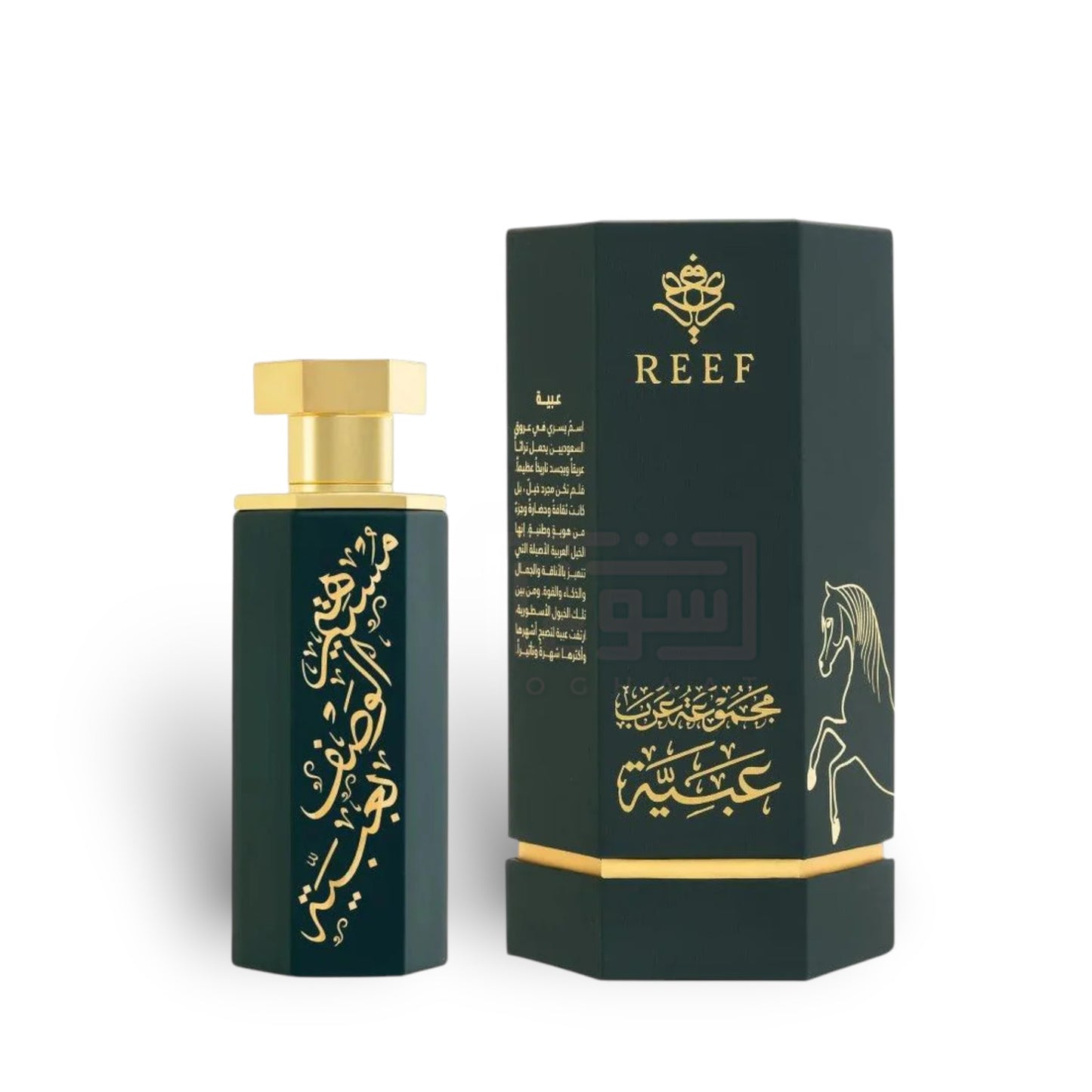 Arabs of Obaiah 100ml Eau de Parfum by Reef perfume bottle close up