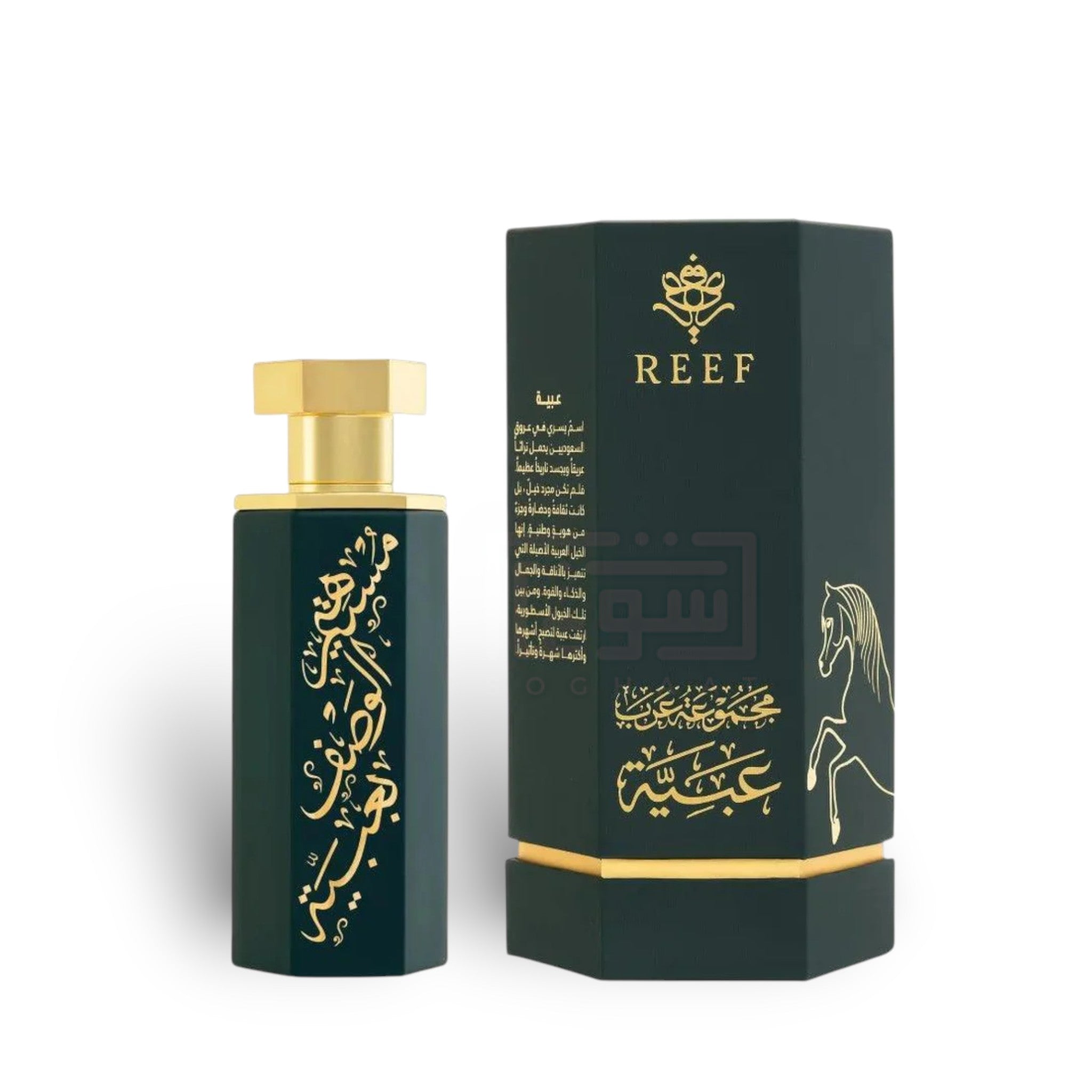 Arabs of Obaiah 100ml Eau de Parfum by Reef perfume bottle close up
