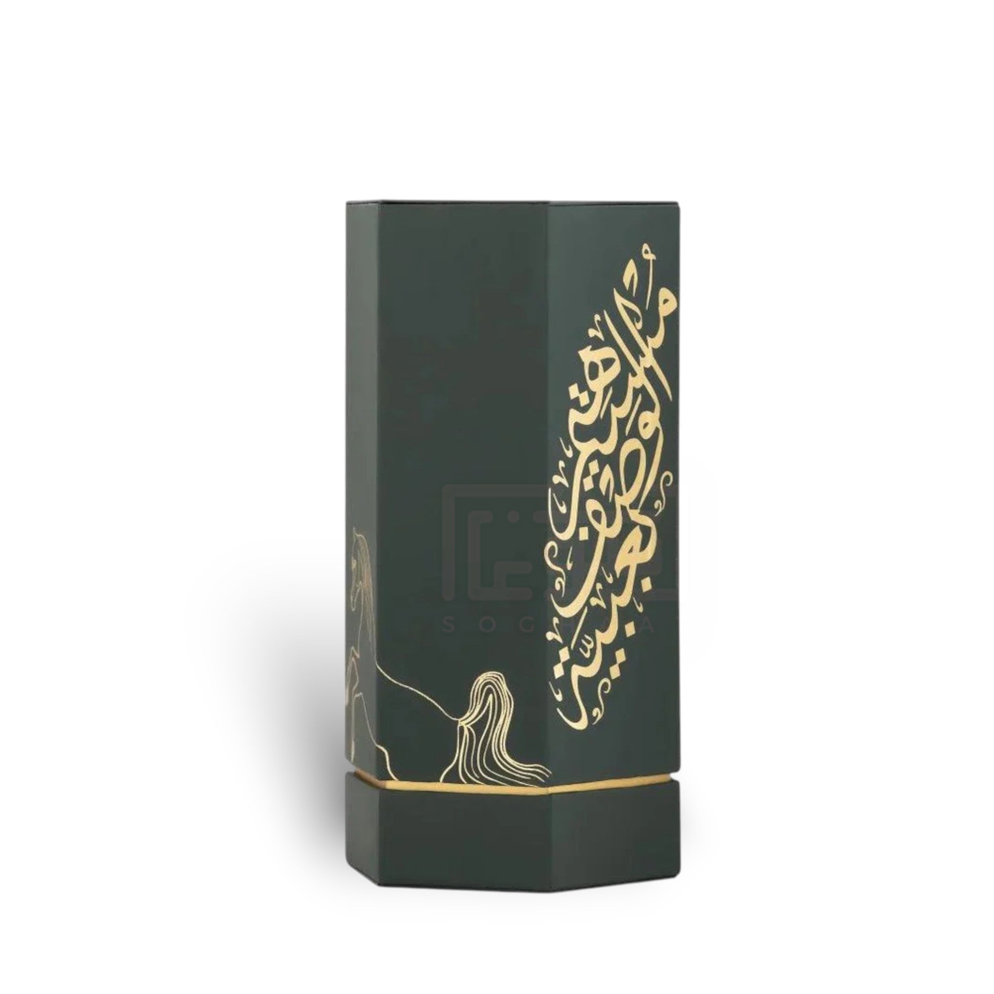 Arabs of Obaiah 100ml Eau de Parfum by Reef bottle and box