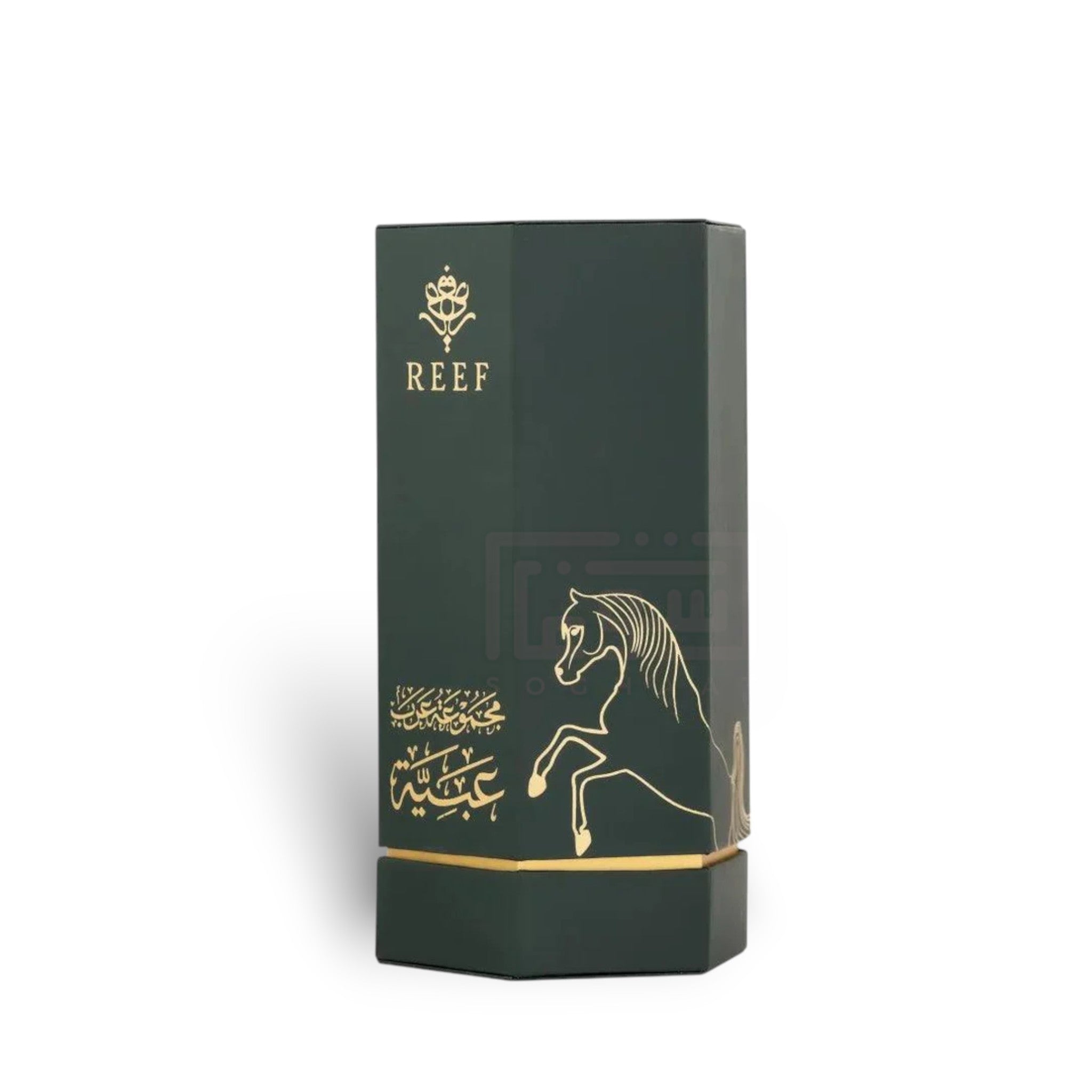 Arabs of Obaiah 100ml Eau de Parfum by Reef fragrance packaging front view