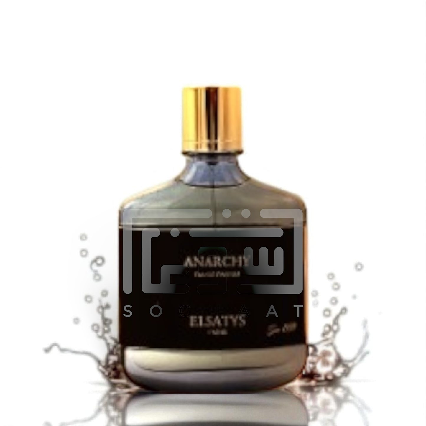 Anarchy (Elsatys Leather Collection) 100ml Eau de Parfum by Parisis Parfums fragrance packaging front view