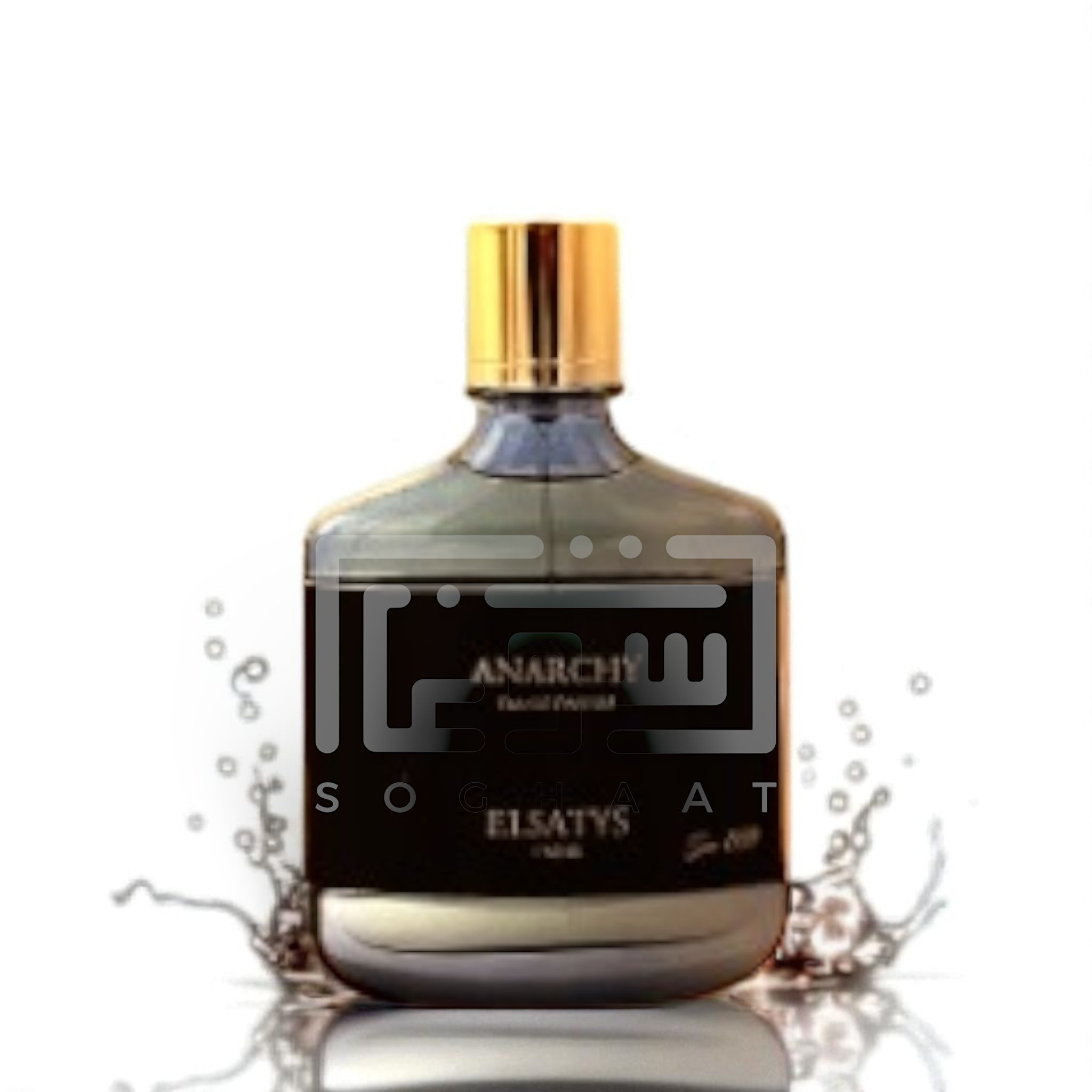 Anarchy (Elsatys Leather Collection) 100ml Eau de Parfum by Parisis Parfums fragrance packaging front view