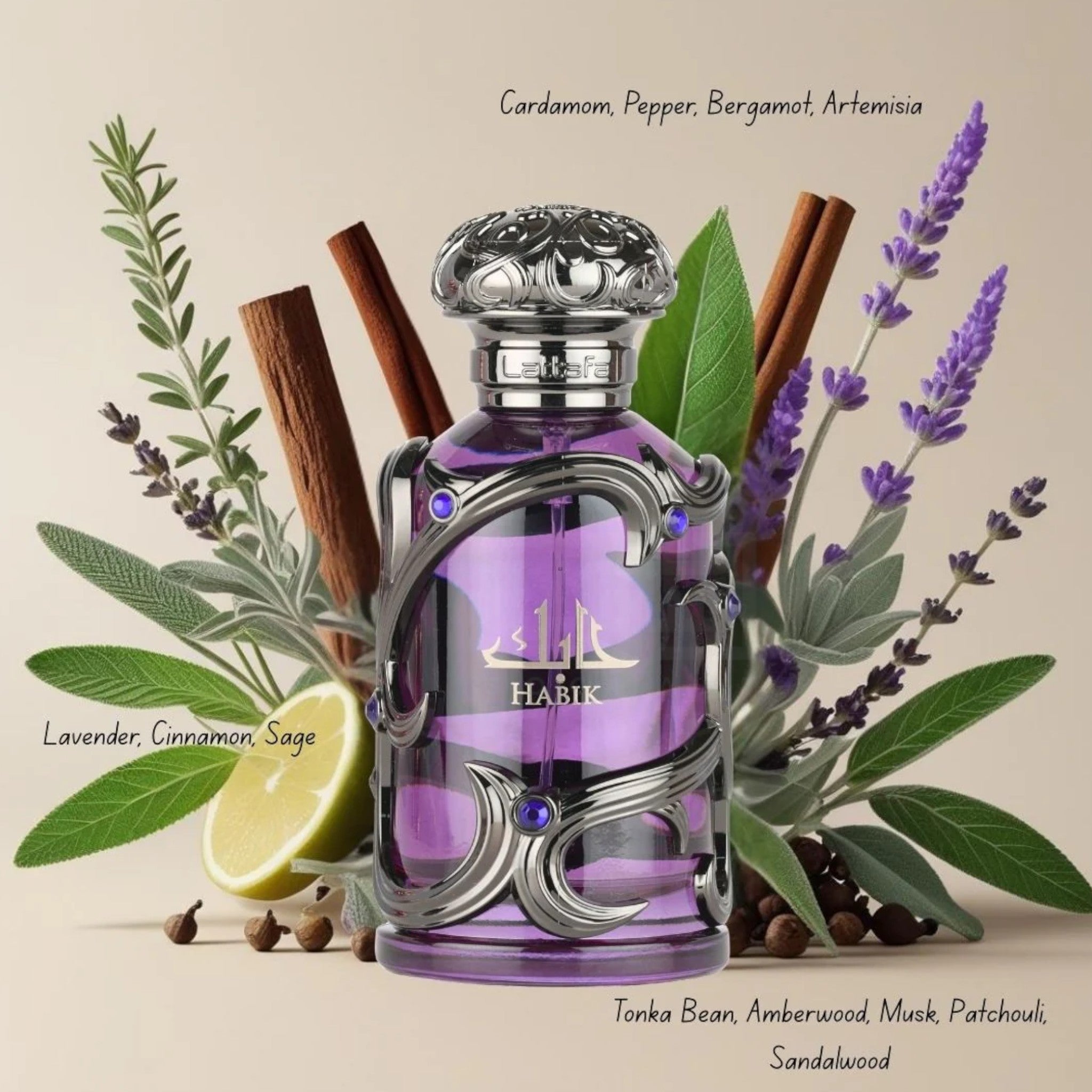Habik Men 100ml Eau de Parfum by Lattafa | Soghaat