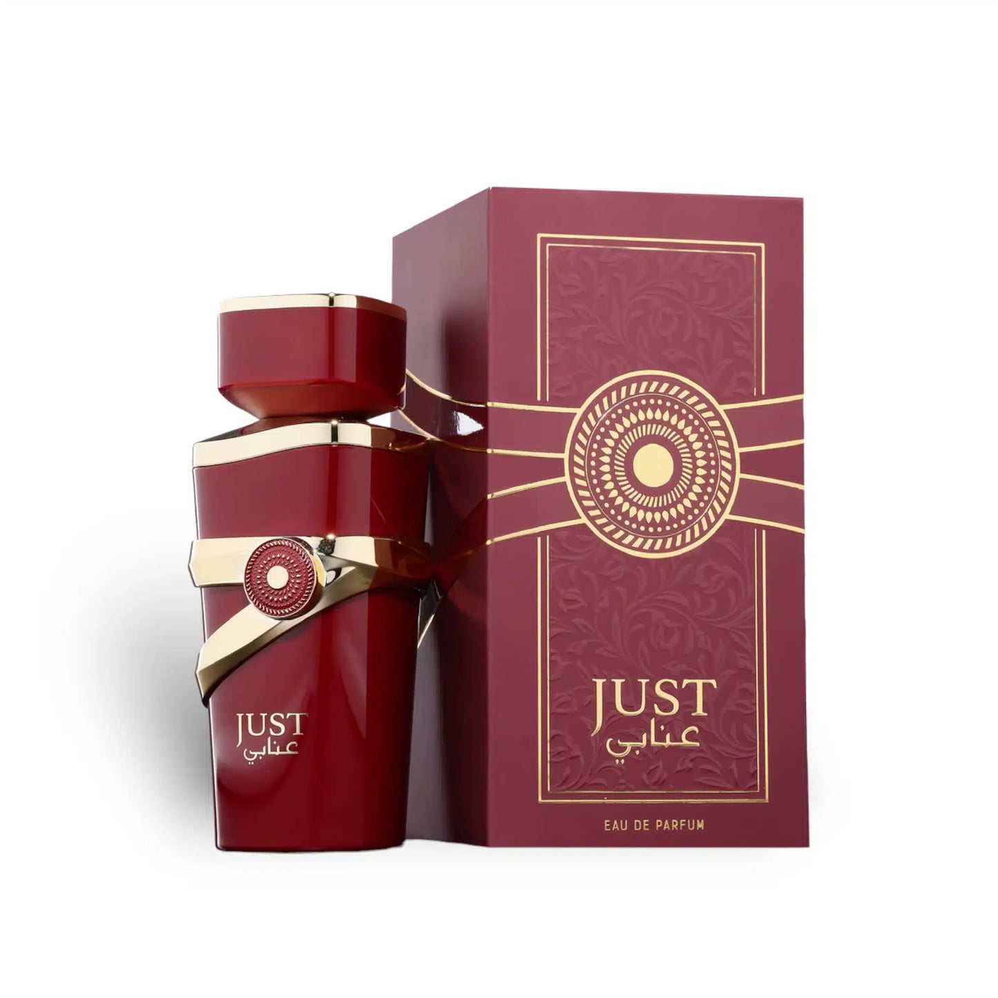 Just Anabi 100ml Eau de Parfum by Fragrance World bottle and box