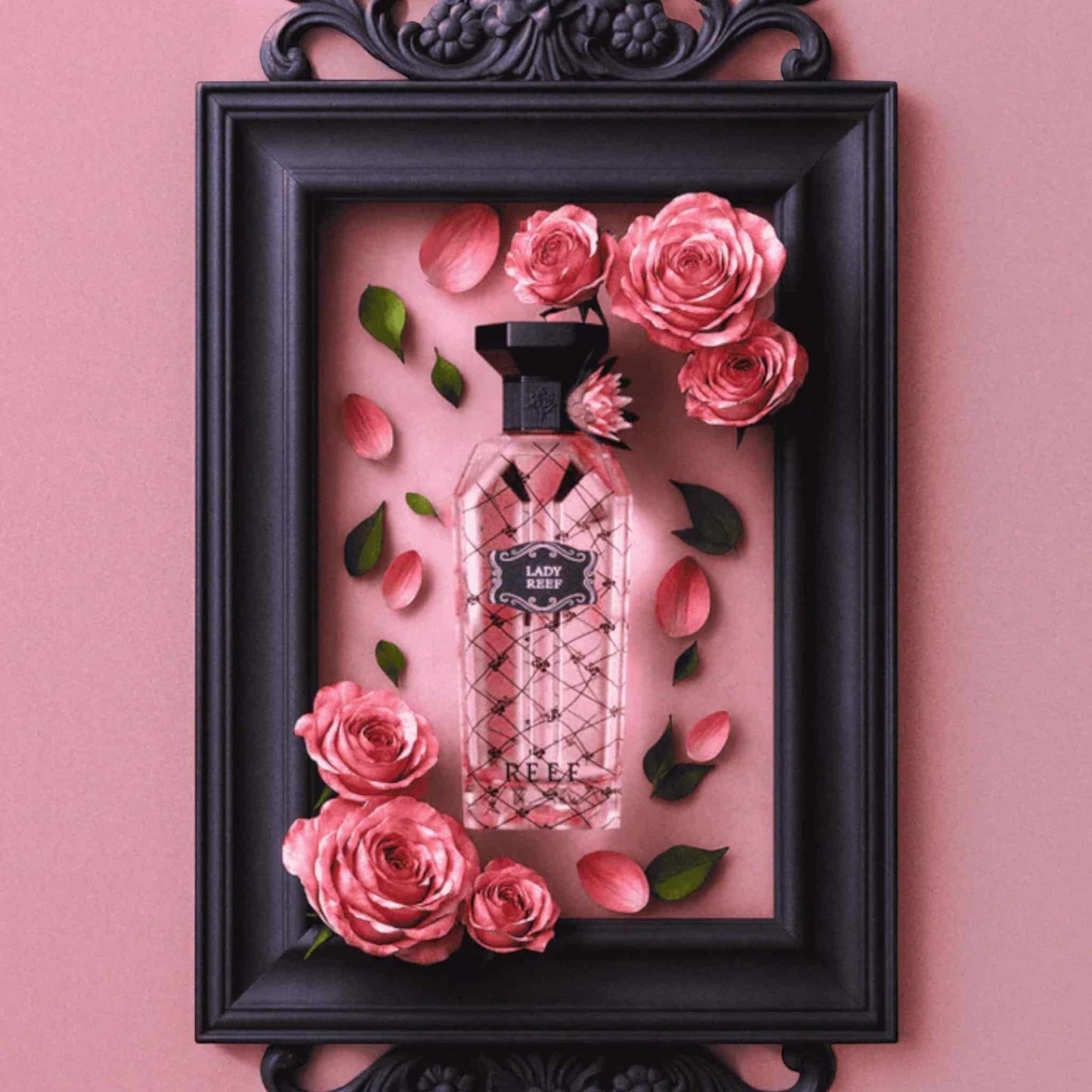 Lady REEF 100ml Eau de Parfum by Reef bottle and box