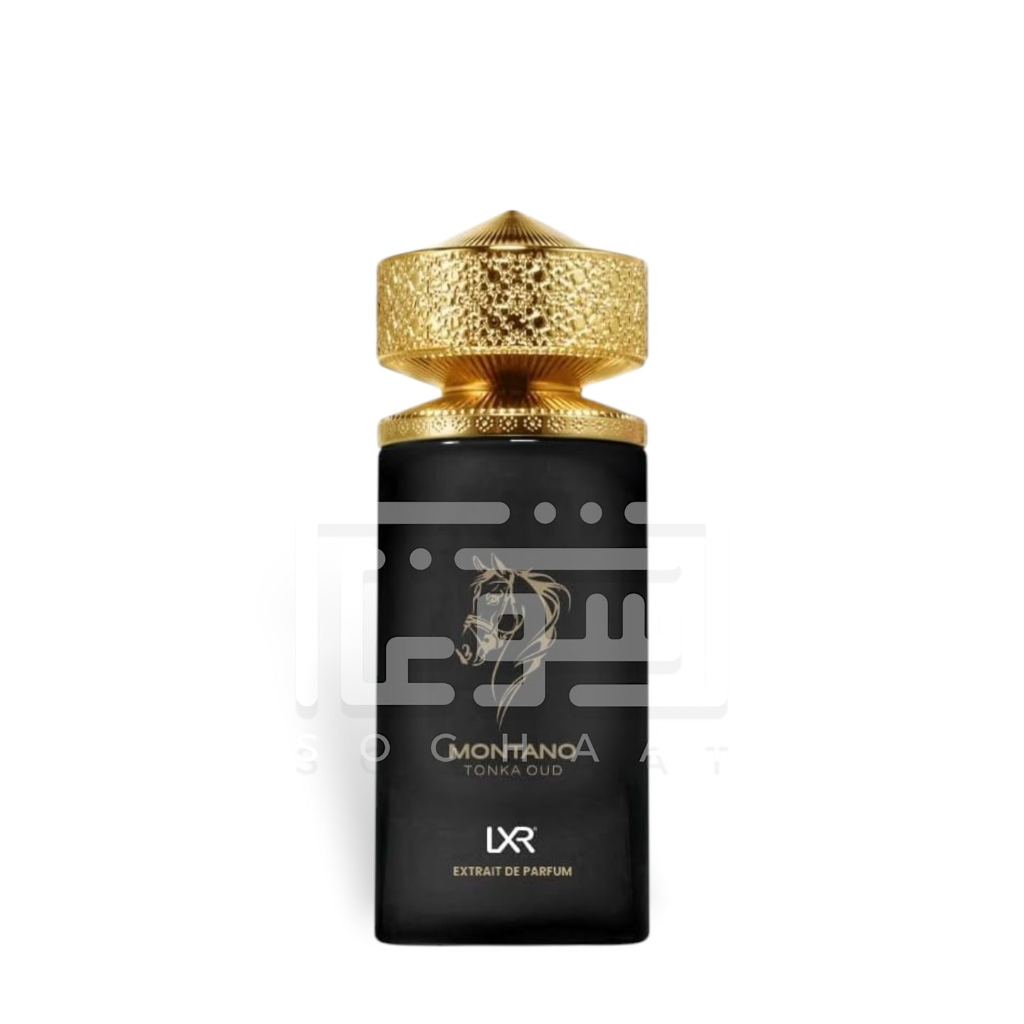 Montano Tonka Oud 100ml Extrait de Parfum by LXR fragrance packaging front view