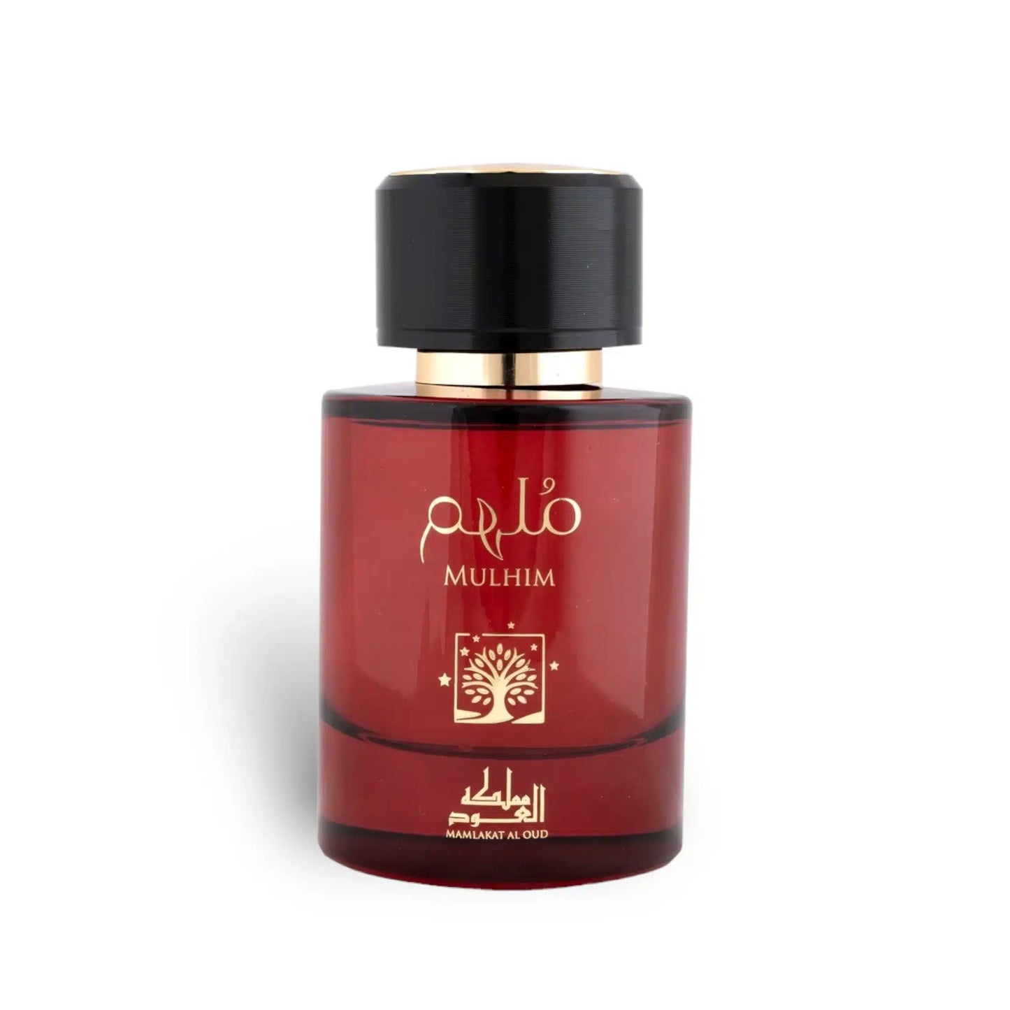 Mulhim 100ml Eau de Parfum by Mamlakat Al Oud fragrance packaging front view