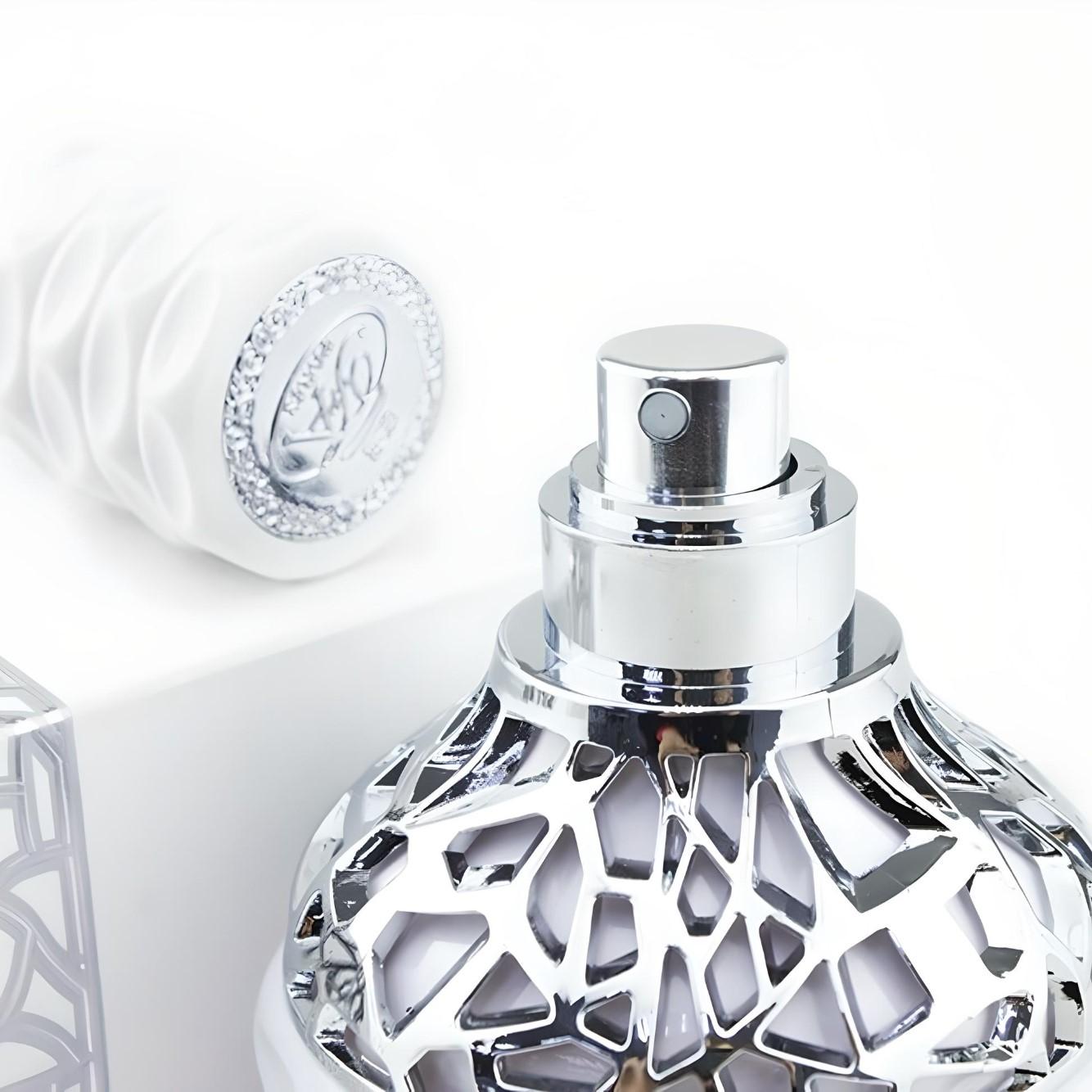 Musk VIP 100ml Eau de Parfum by French Avenue fragrance packaging front view