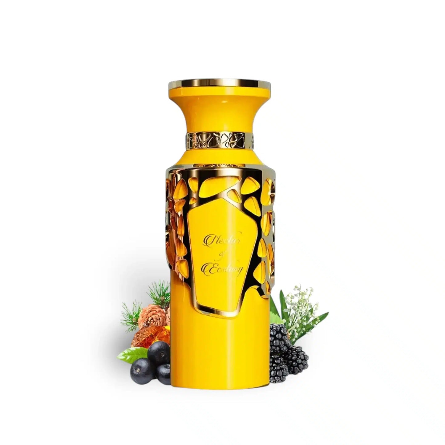 Nectar Of Ecstasy 100ml Eau de Parfum by Fragrance World fragrance packaging front view