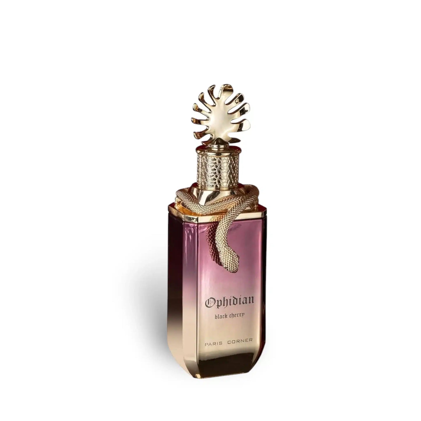 Ophidian Black Cherry 100ml Eau de Parfum by Paris Corner fragrance packaging front view