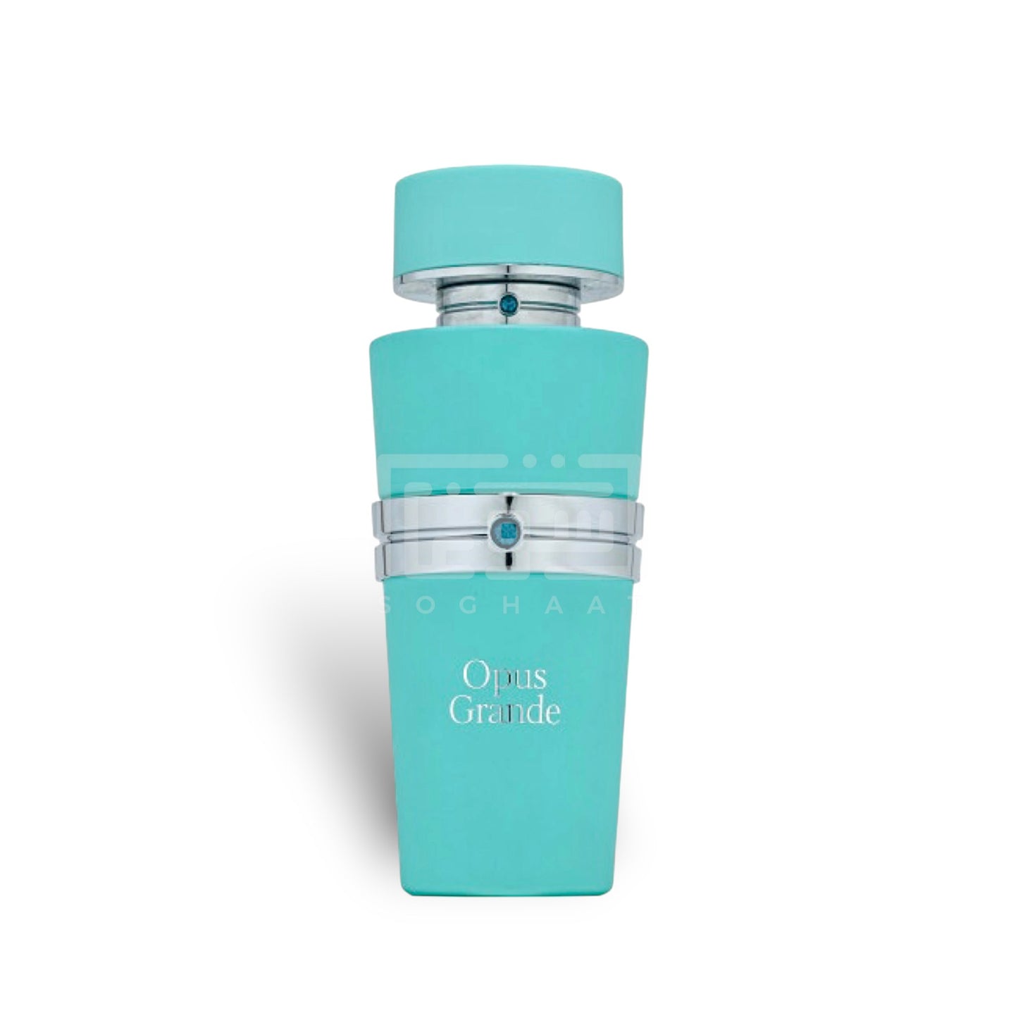 Opus Grande 100ml Eau de Parfum by French Avenue fragrance packaging front view
