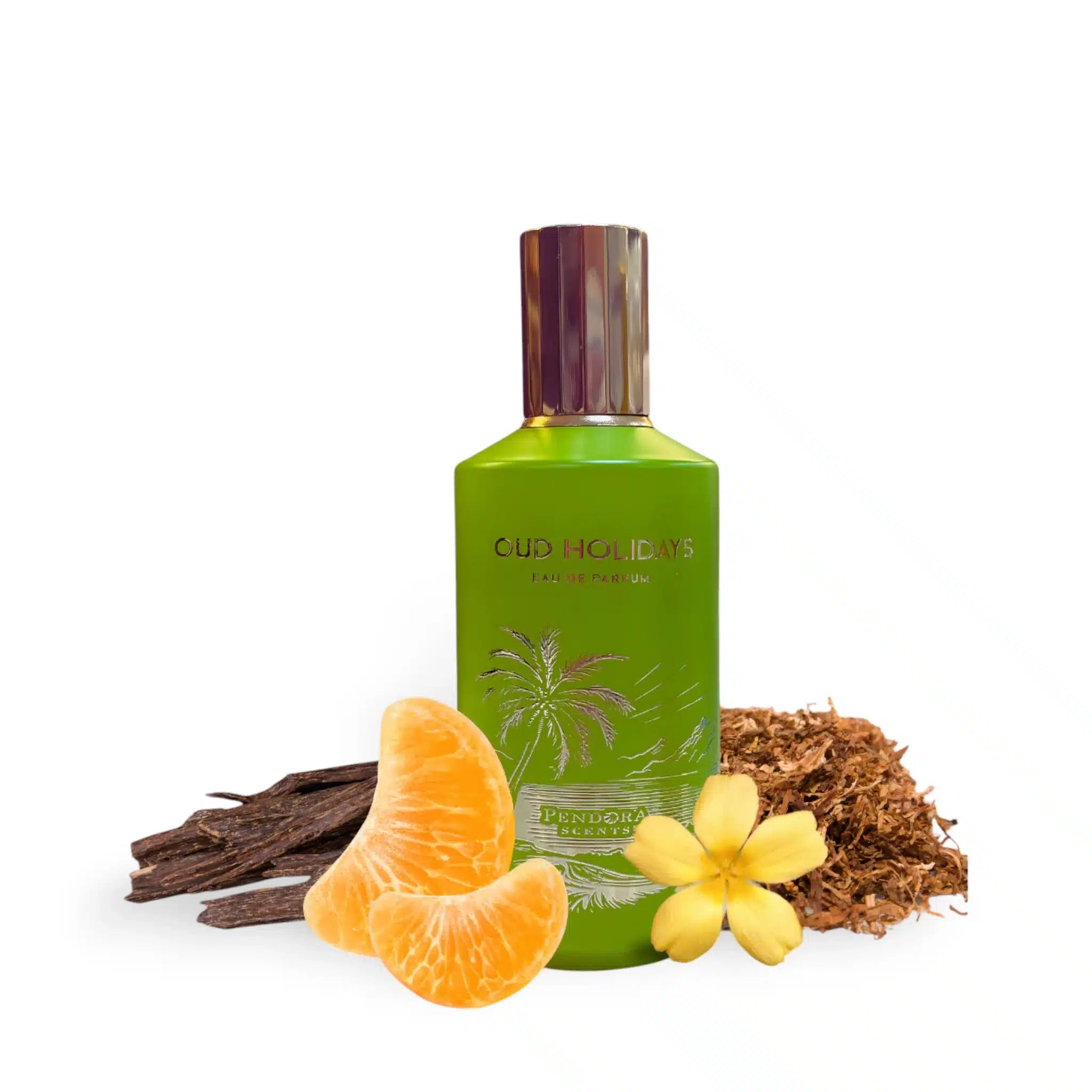 Oud Holidays 100ml Eau de Parfum by Paris Corner fragrance packaging front view