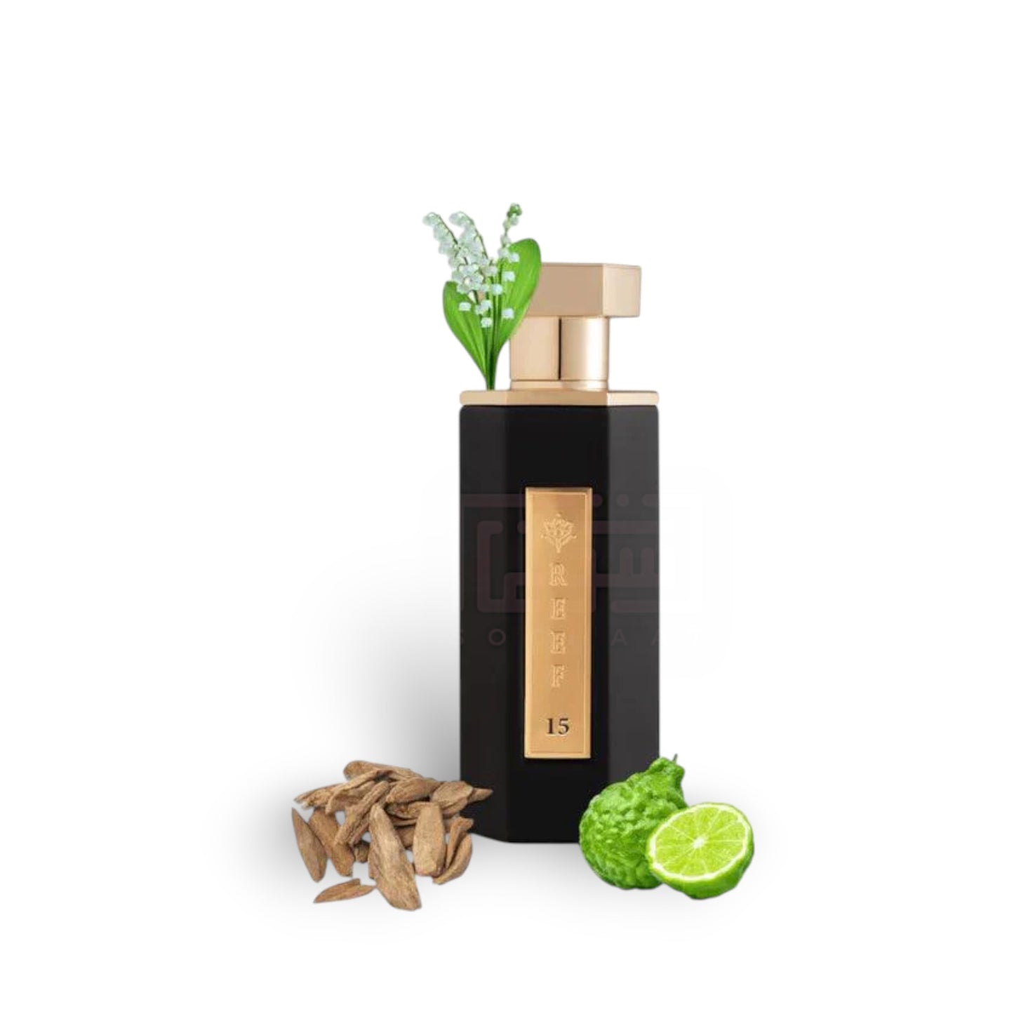Reef 15 100ml Eau de Parfum by Reef fragrance bottle