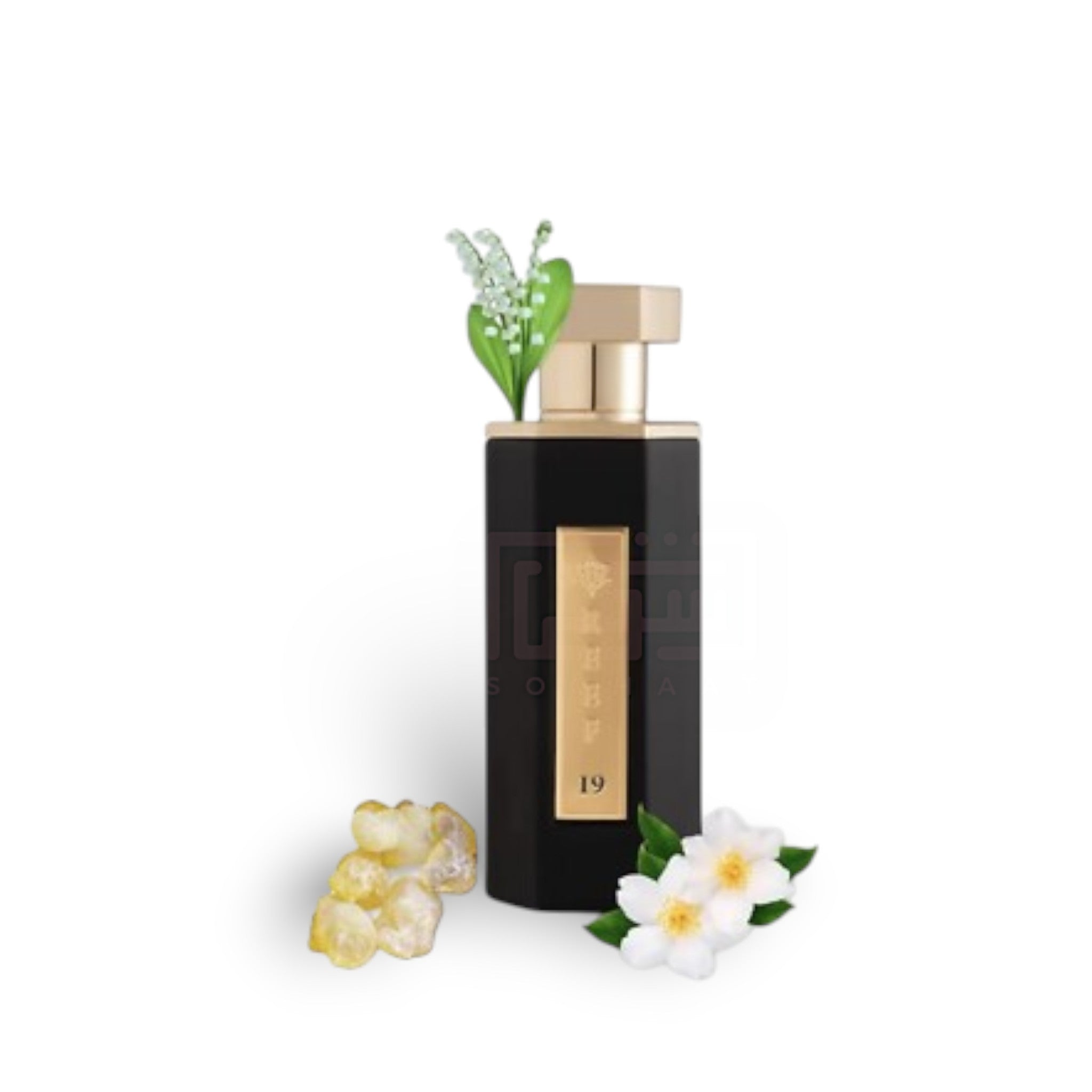 Reef 19 100ml Eau de Parfum by Reef fragrance bottle