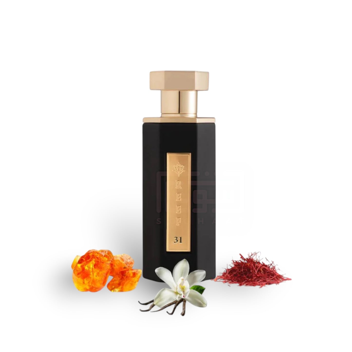 Reef 31 100ml Eau de Parfum by Reef fragrance bottle