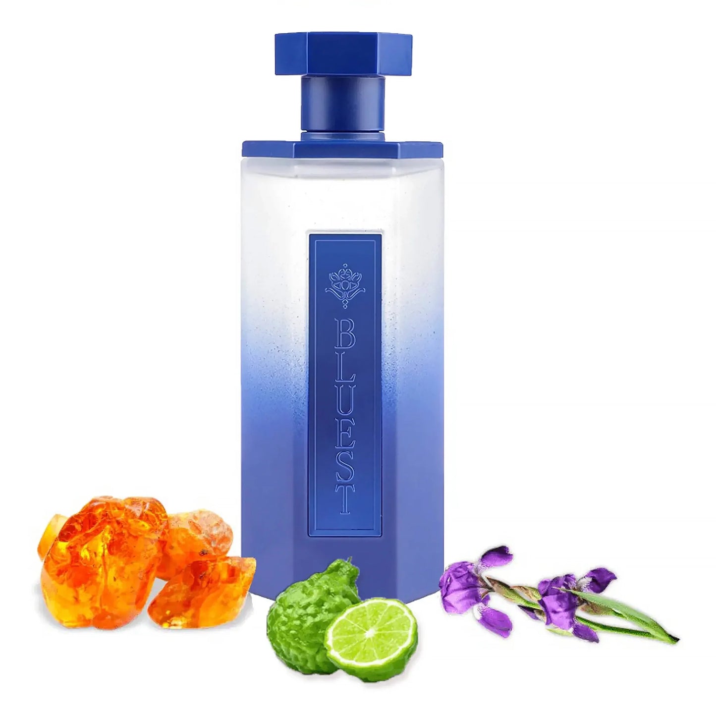 Reef Bluest 200ml Eau de Parfum by Reef fragrance bottle