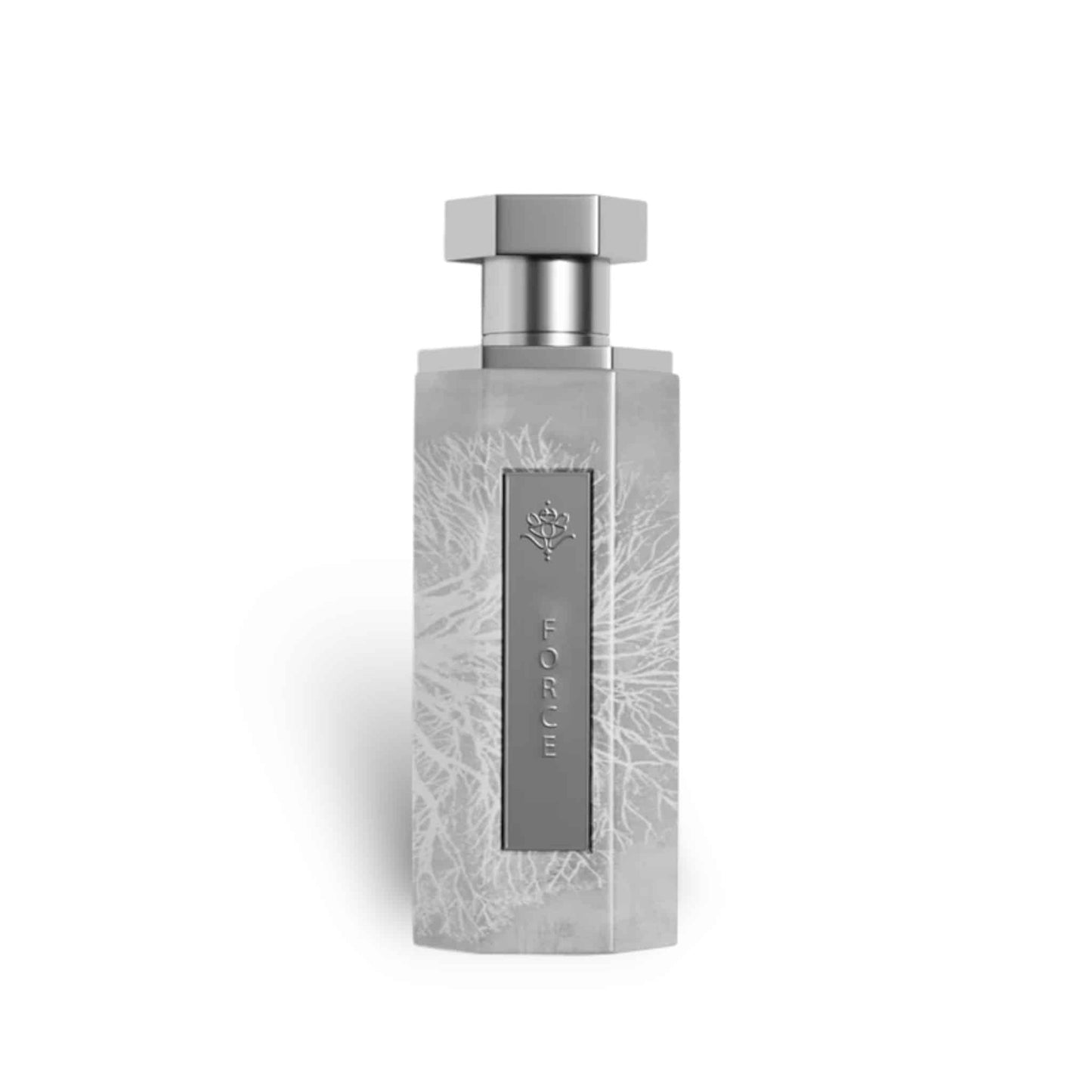 Reef Force 200ml Eau de Parfum by Reef fragrance packaging front view