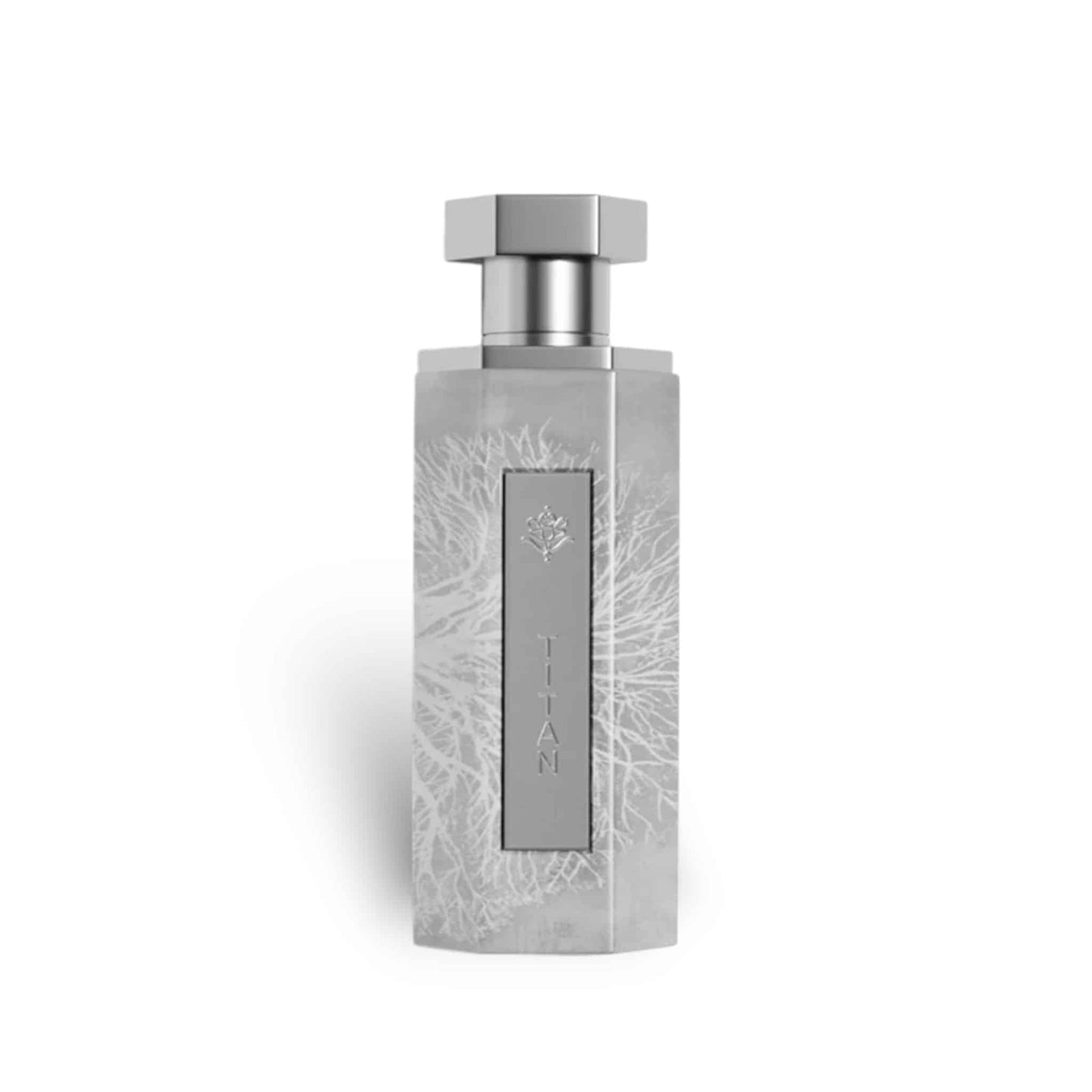 Reef Titan 200ml Eau de Parfum by Reef fragrance bottle