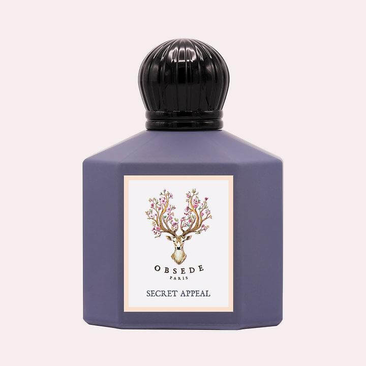 Obsede Secret Appeal 100ml Eau de Parfum by Obsede Paris fragrance packaging front view