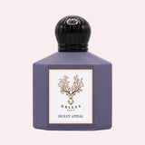 Obsede Secret Appeal 100ml Eau de Parfum by Obsede Paris fragrance packaging front view
