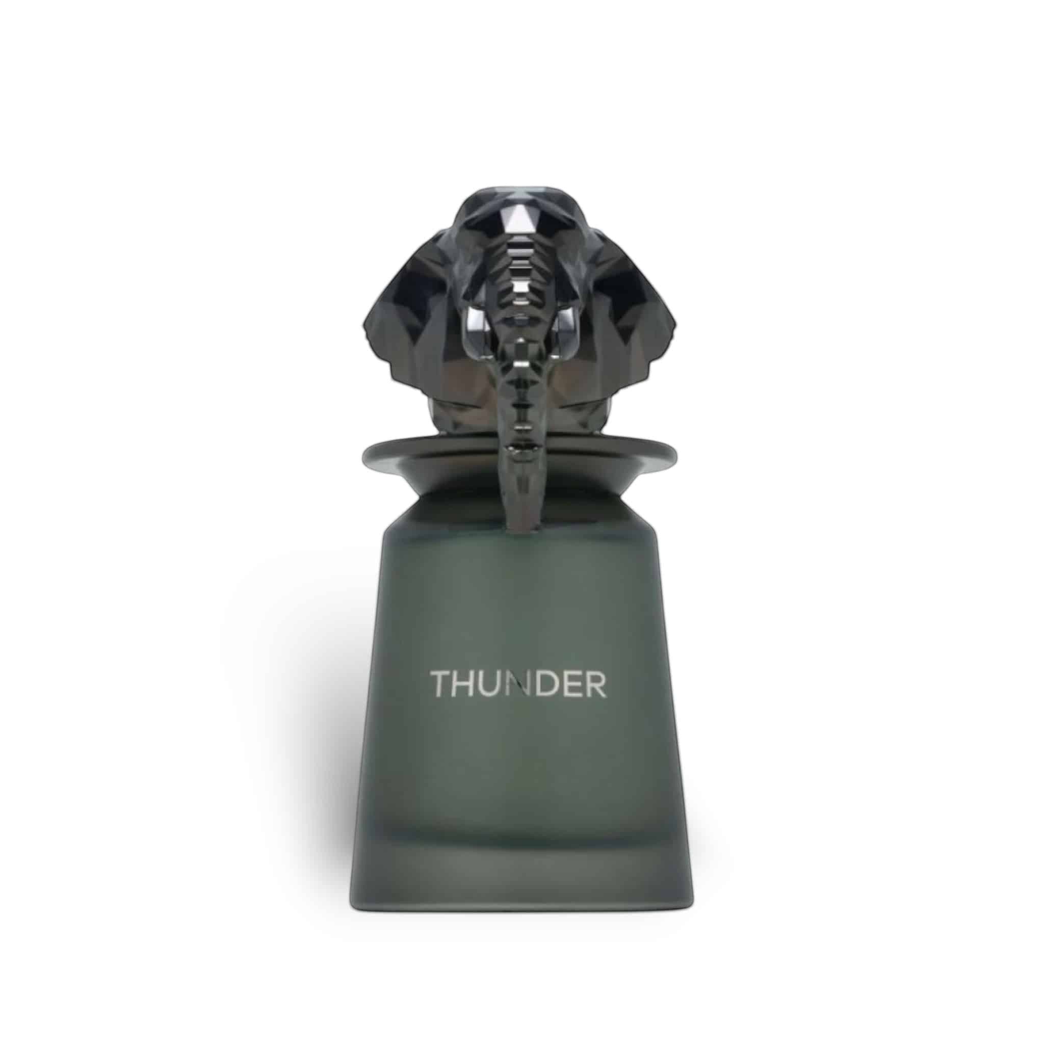 Thunder 100ml Extrait de Parfum by French Avenue perfume bottle close up