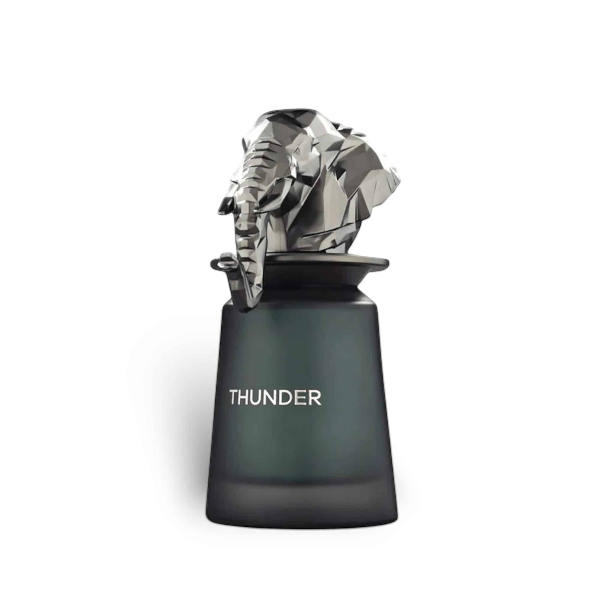 Thunder 100ml Extrait de Parfum by French Avenue fragrance packaging front view