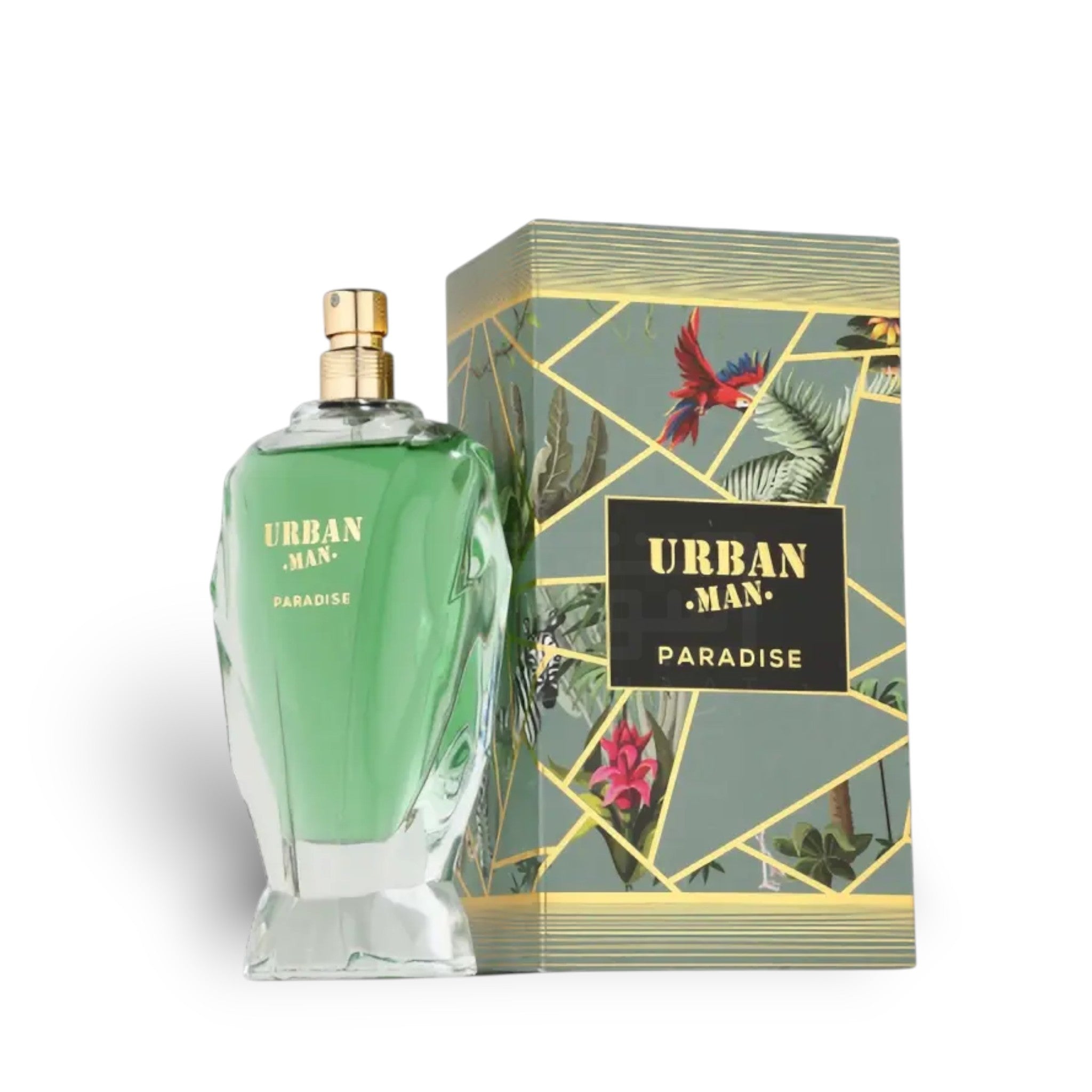 Urban Man Paradise 90ml Eau de Parfum by Fragrance World bottle and box