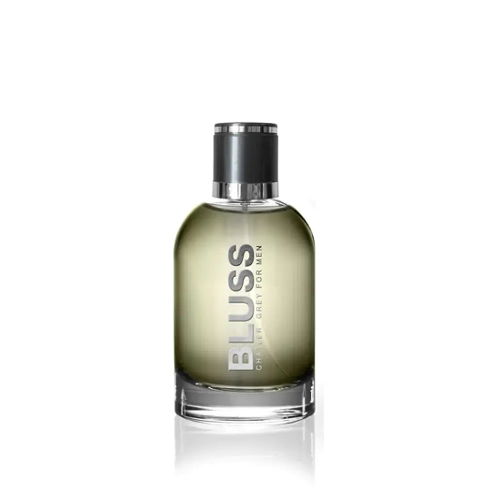 Chatler Bluss Grey 100ml Eau de Parfum by Chatler fragrance packaging front view