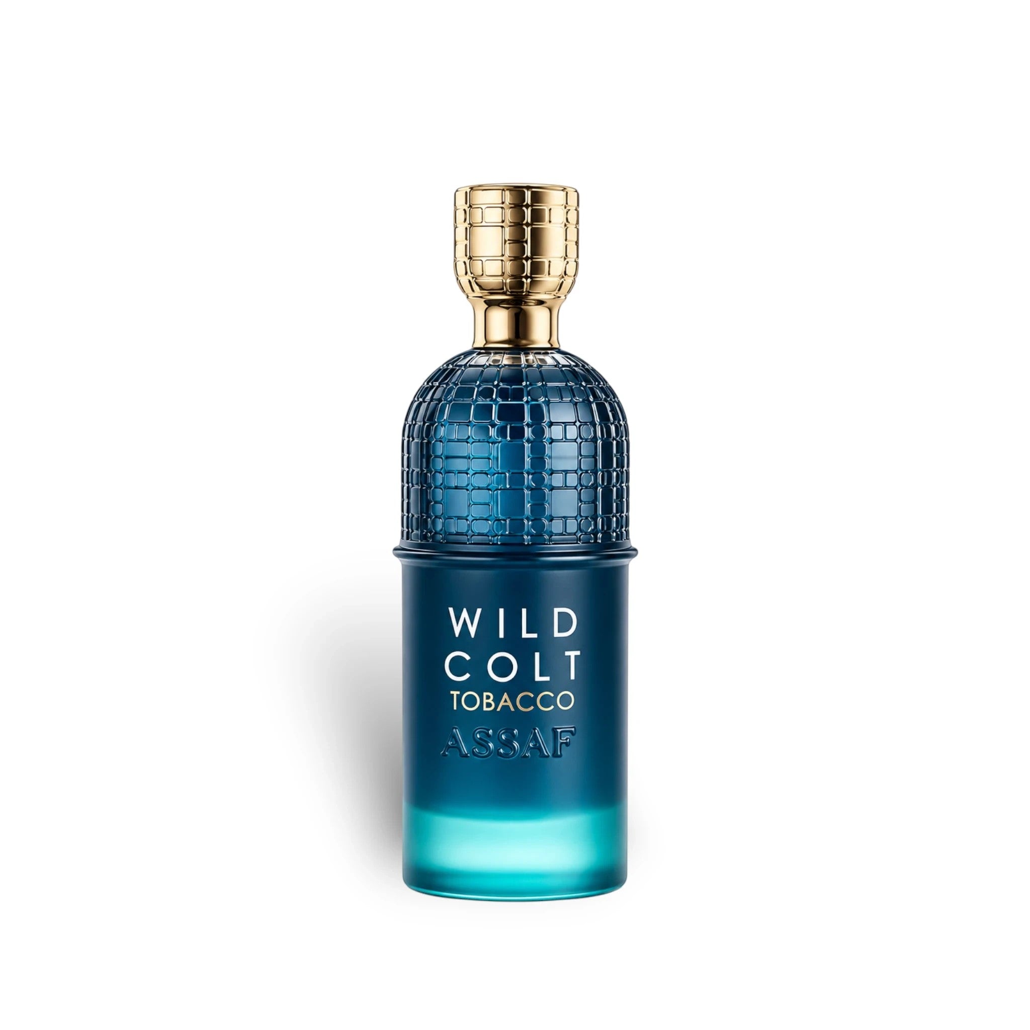 Soghaat Wild Colt Tobacco 200ml Eau de Parfum for men, woody floral oud amber fragrance with gold cap and blue textured bottle.