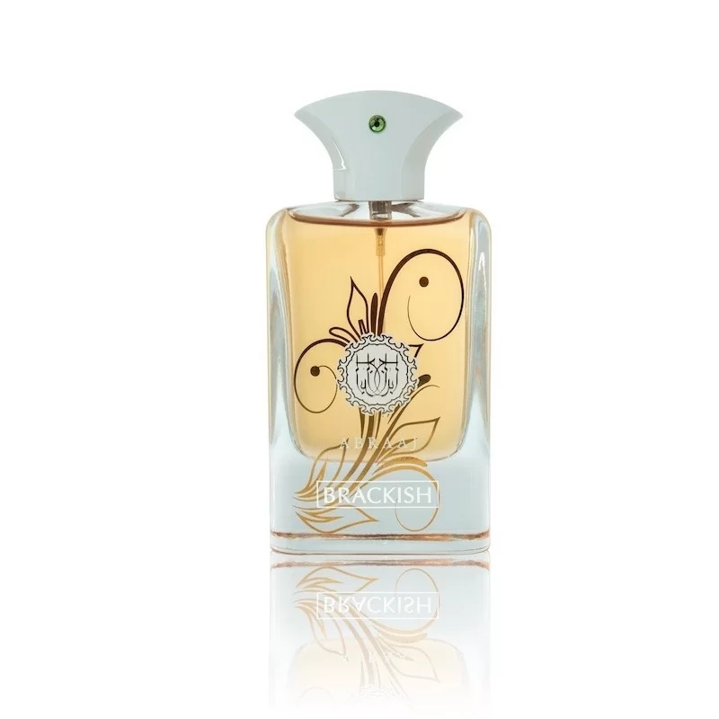 Abraaj Brackish Perfume Eau De Parfum 100Ml By Fa Paris (Fragrance World) (Inspired By Bracken)