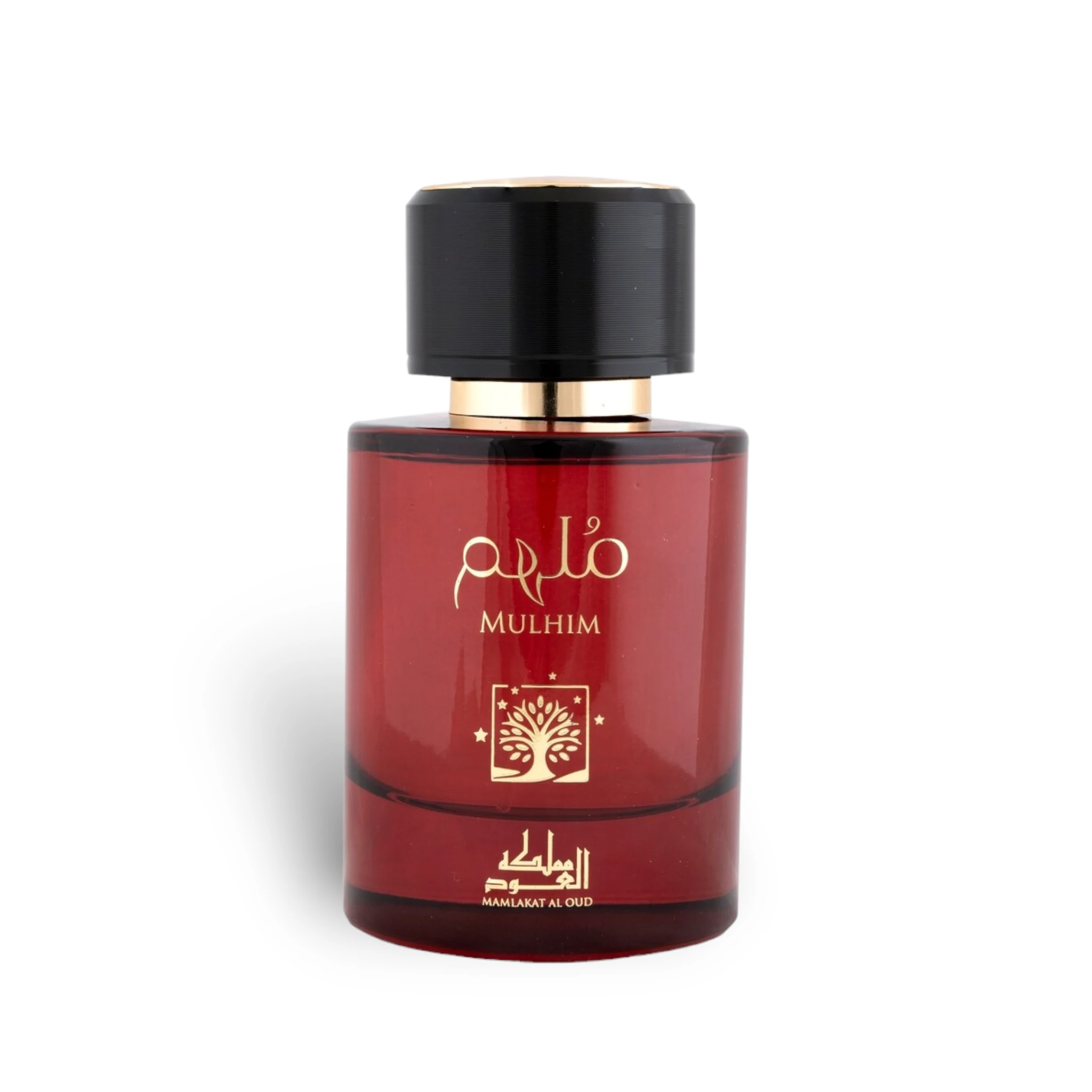 Mulhim Perfume Eau De Parfum 100Ml By Mamlakat Al Oud