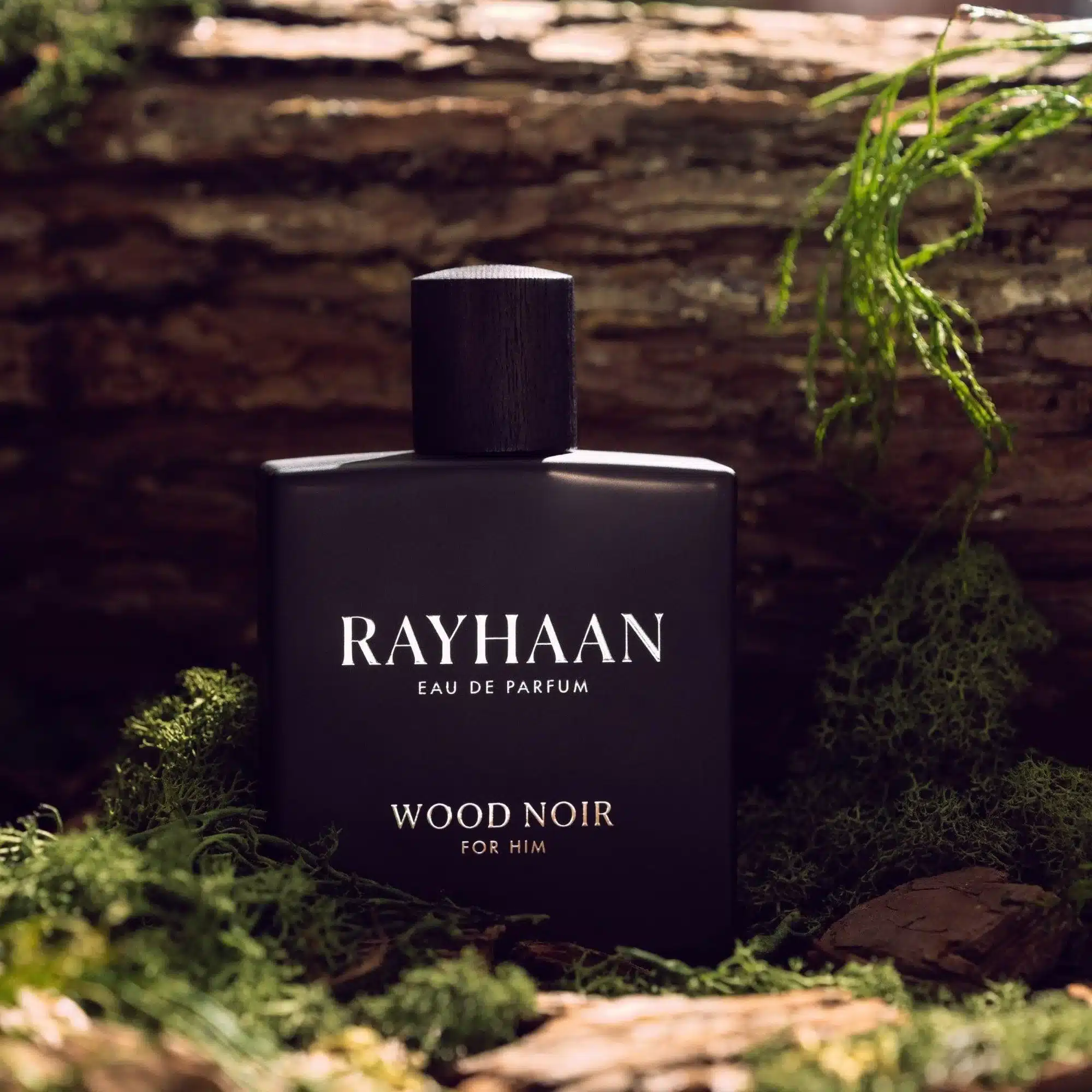 Rayhaan Wood Noir 100Ml Perfume Eau De Parfum By Rayhaan