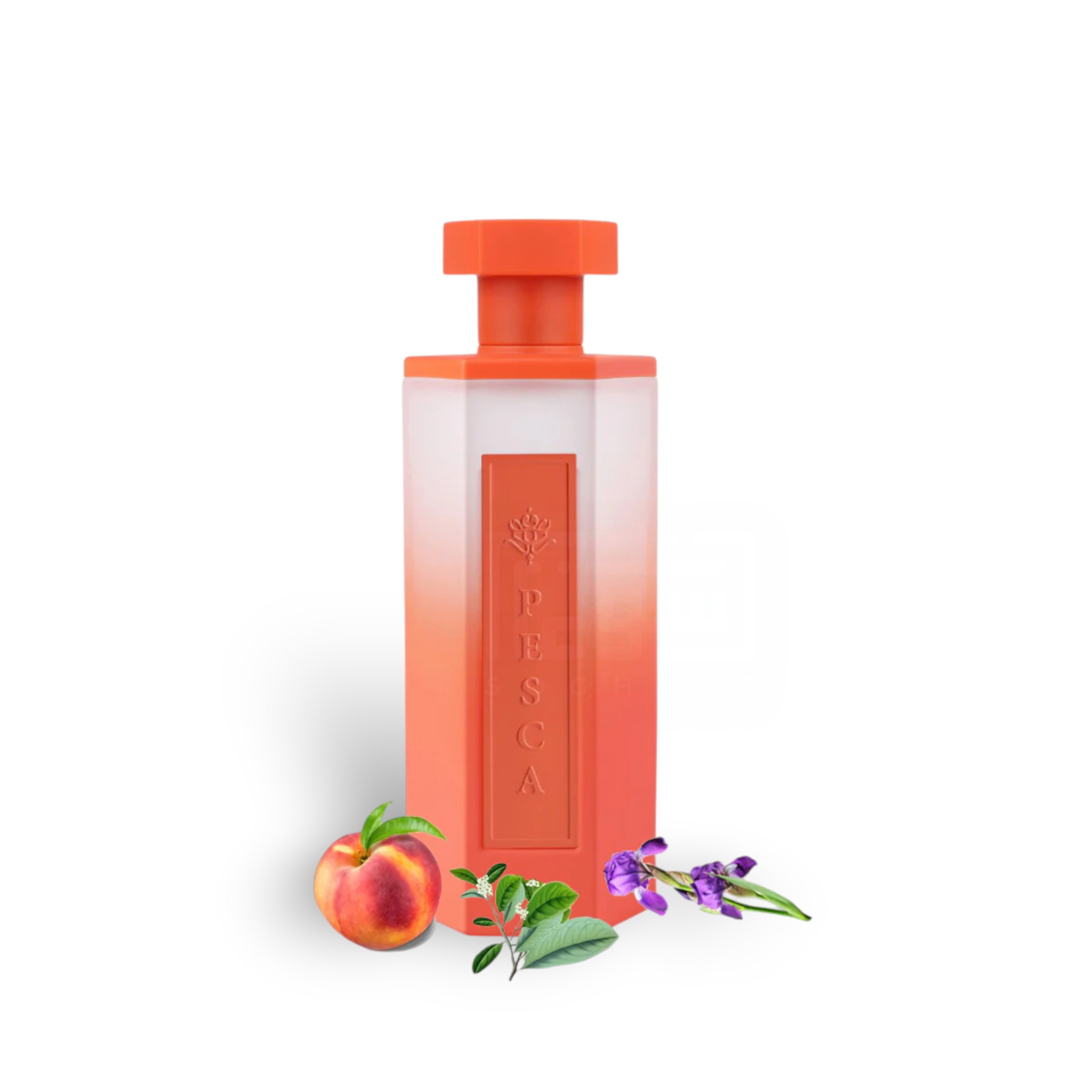 Reef Pesca Edp 200Ml Perfume By Reef
