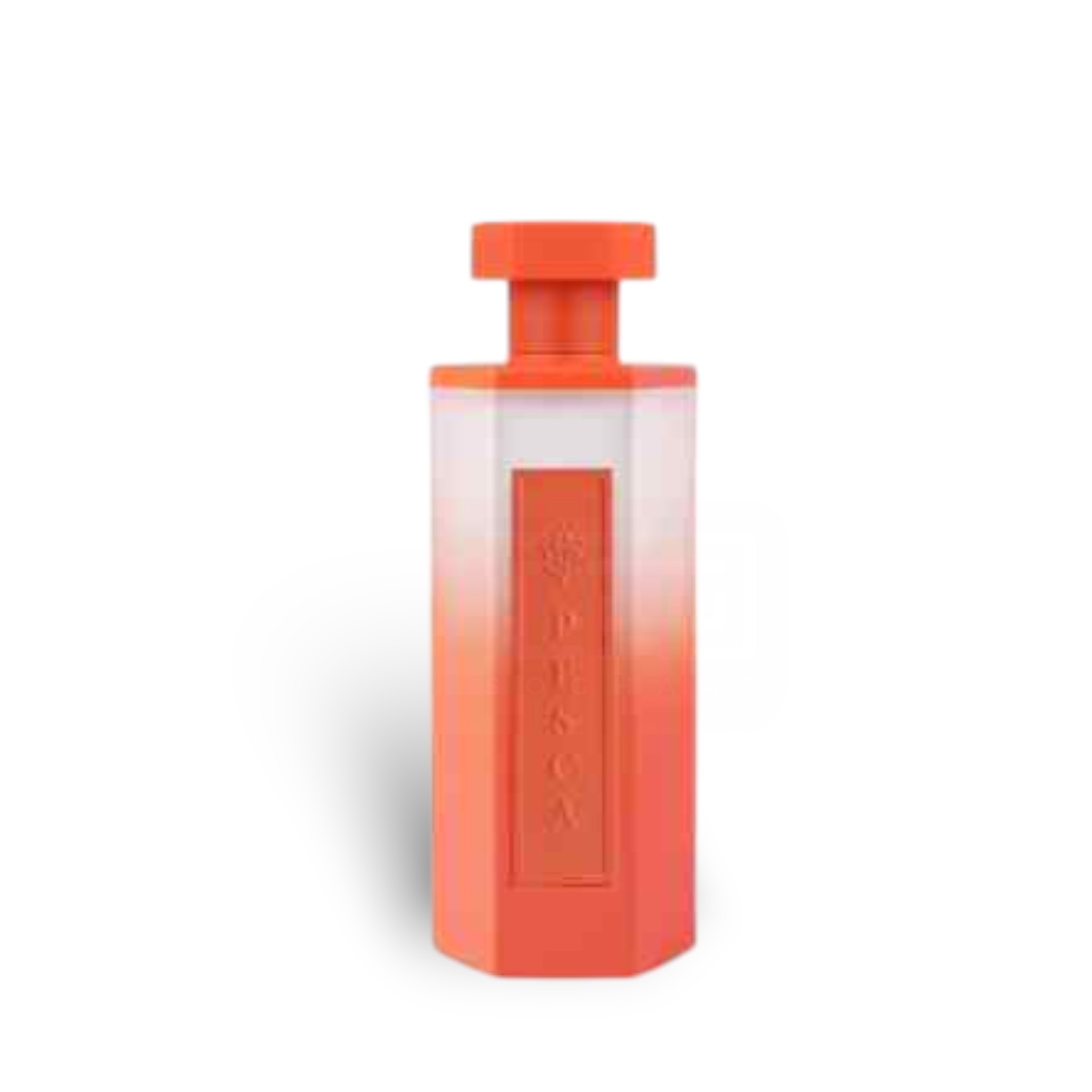 Reef Pesca Edp 200Ml Perfume By Reef