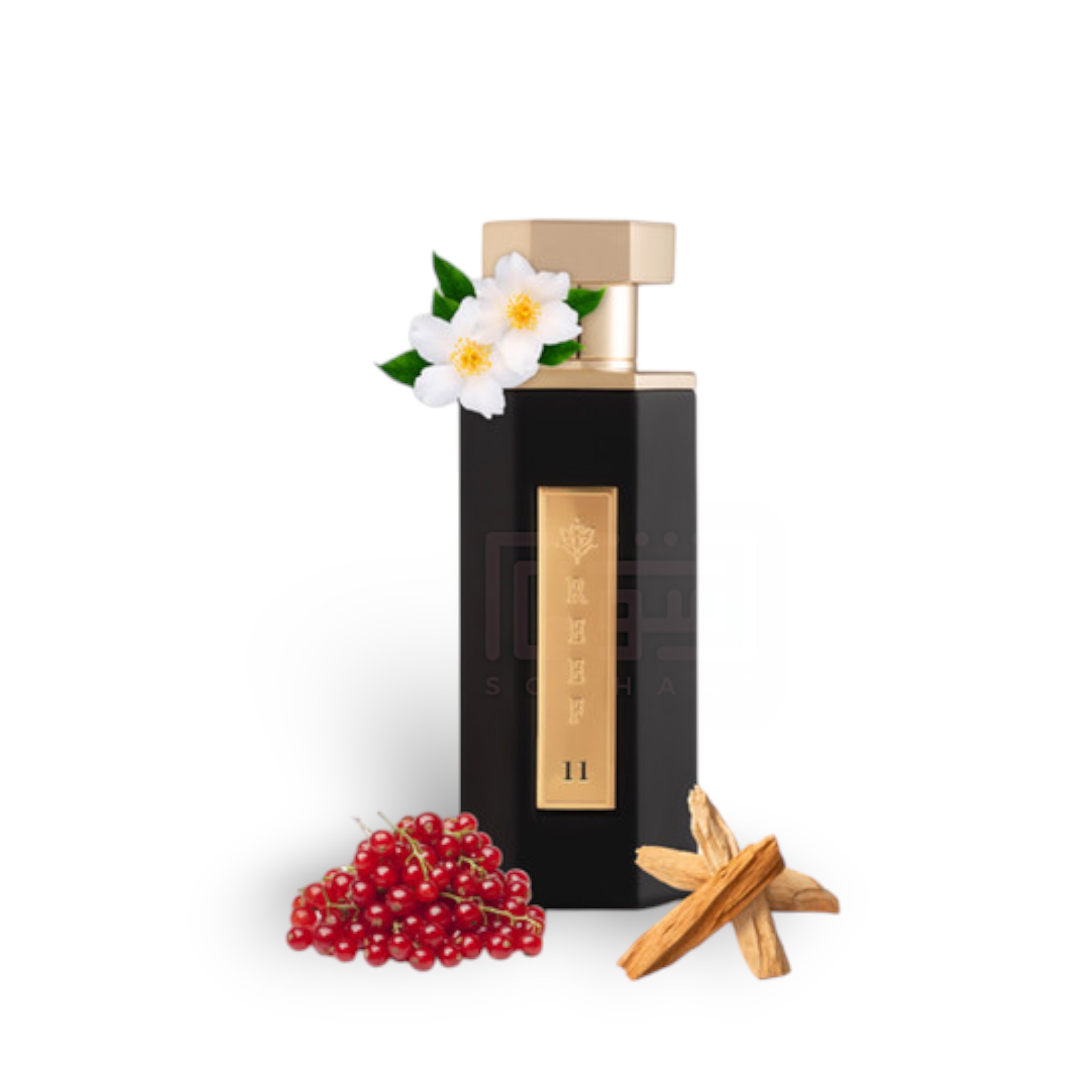 Reef 11 Edp 100Ml Perfume By Reef