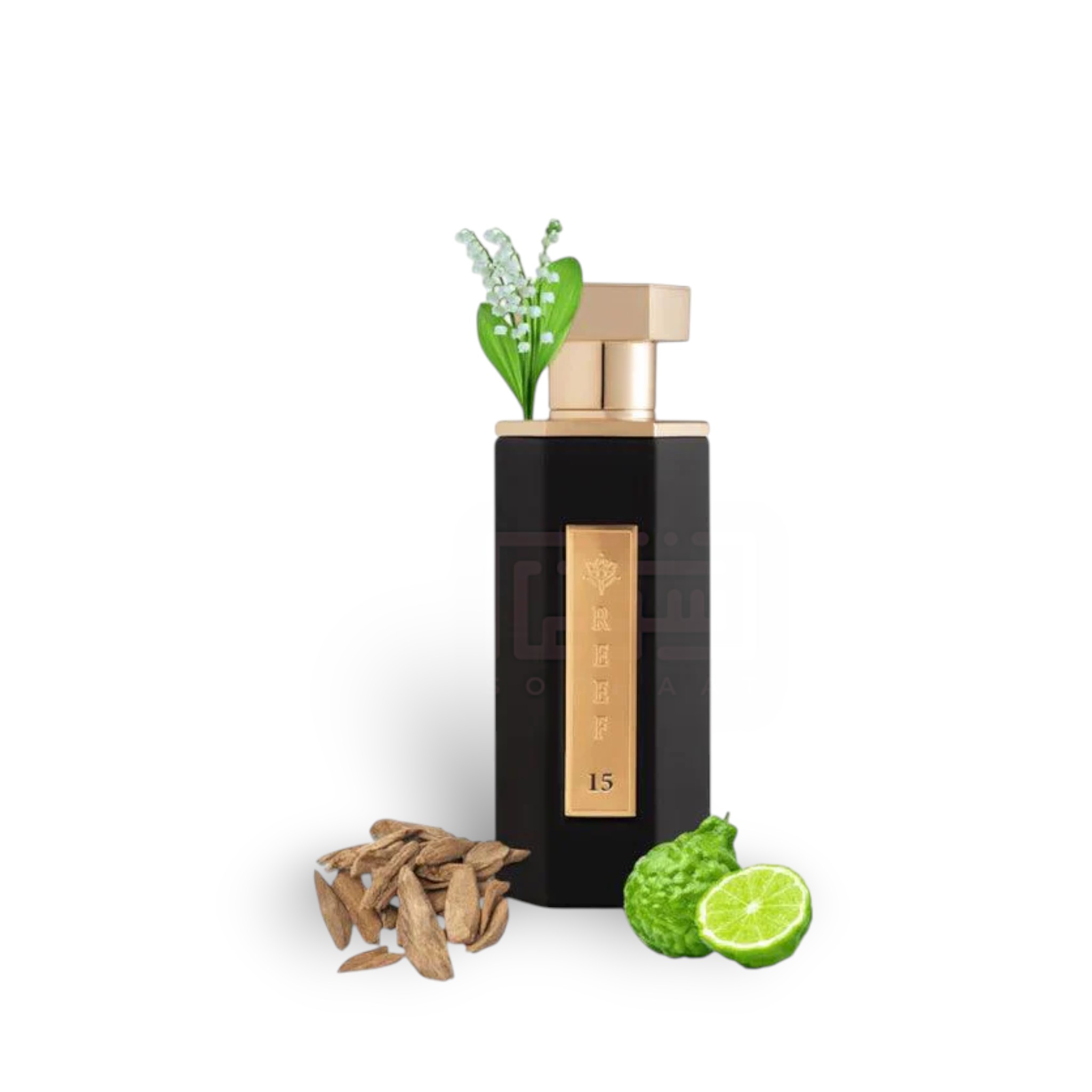 Reef 15 Edp 100Ml Perfume By Reef