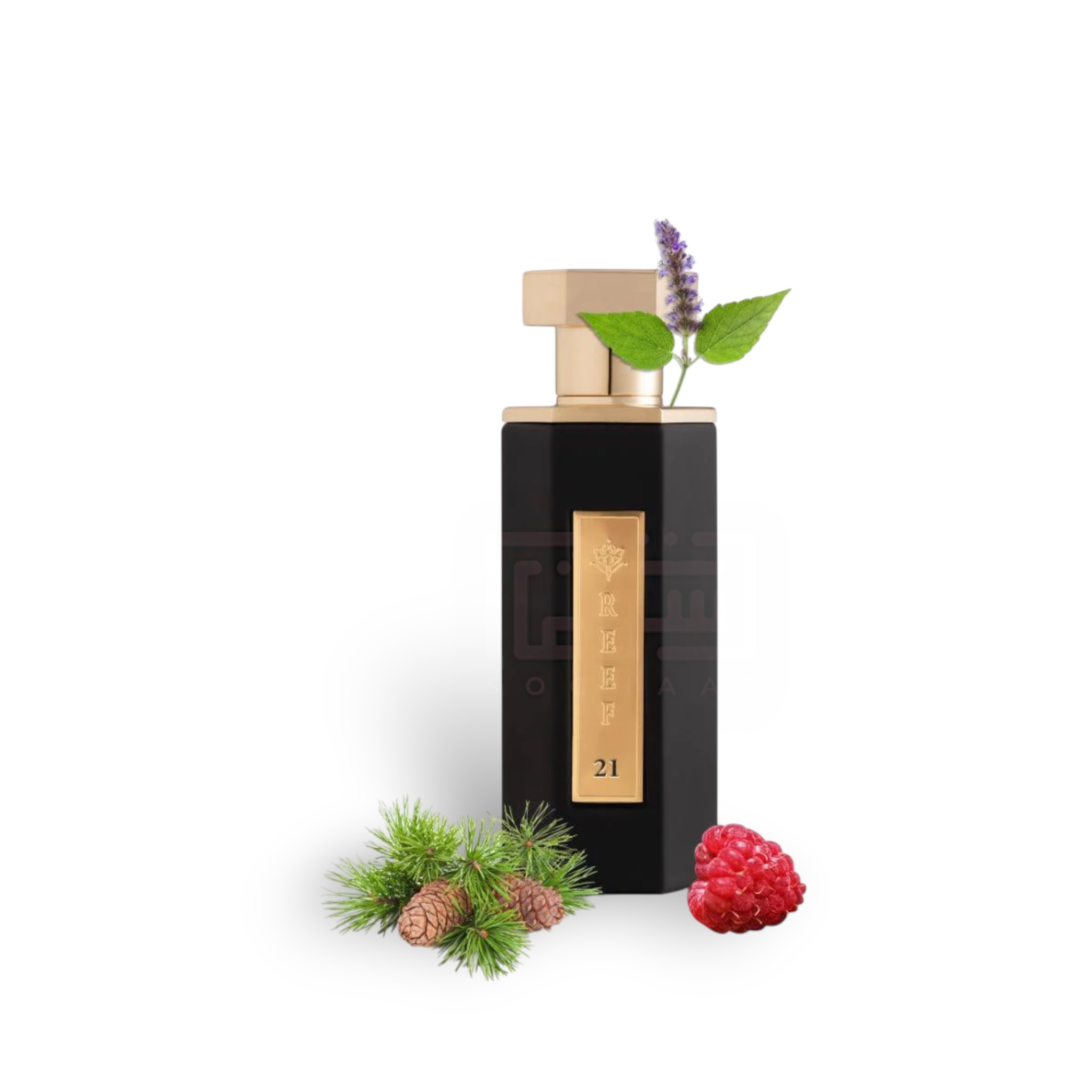 Reef 21 Edp 100Ml Perfume By Reef