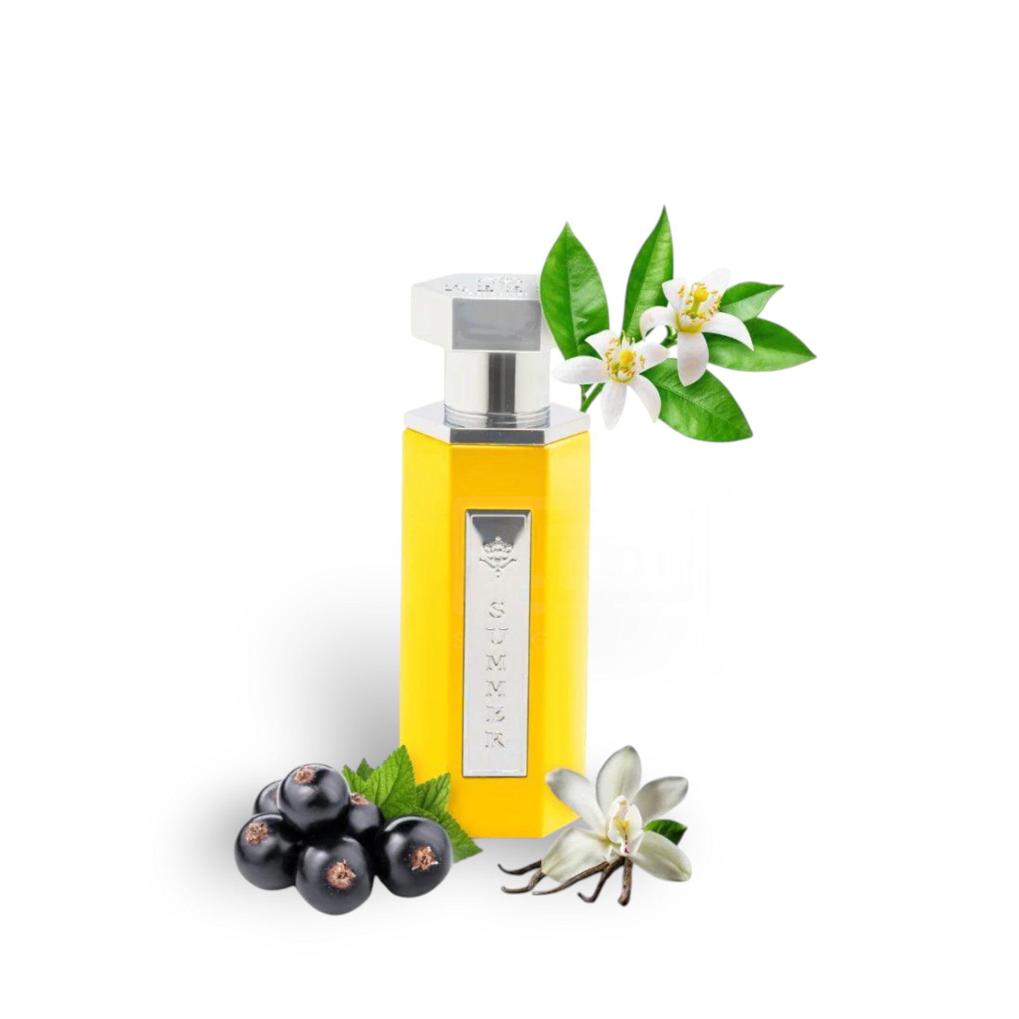 Summer Yellow Edp 100Ml Perfume By Reef