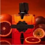 Aromatix Forbidden Fruits 100Ml Extrait De Parfum By French Avenue